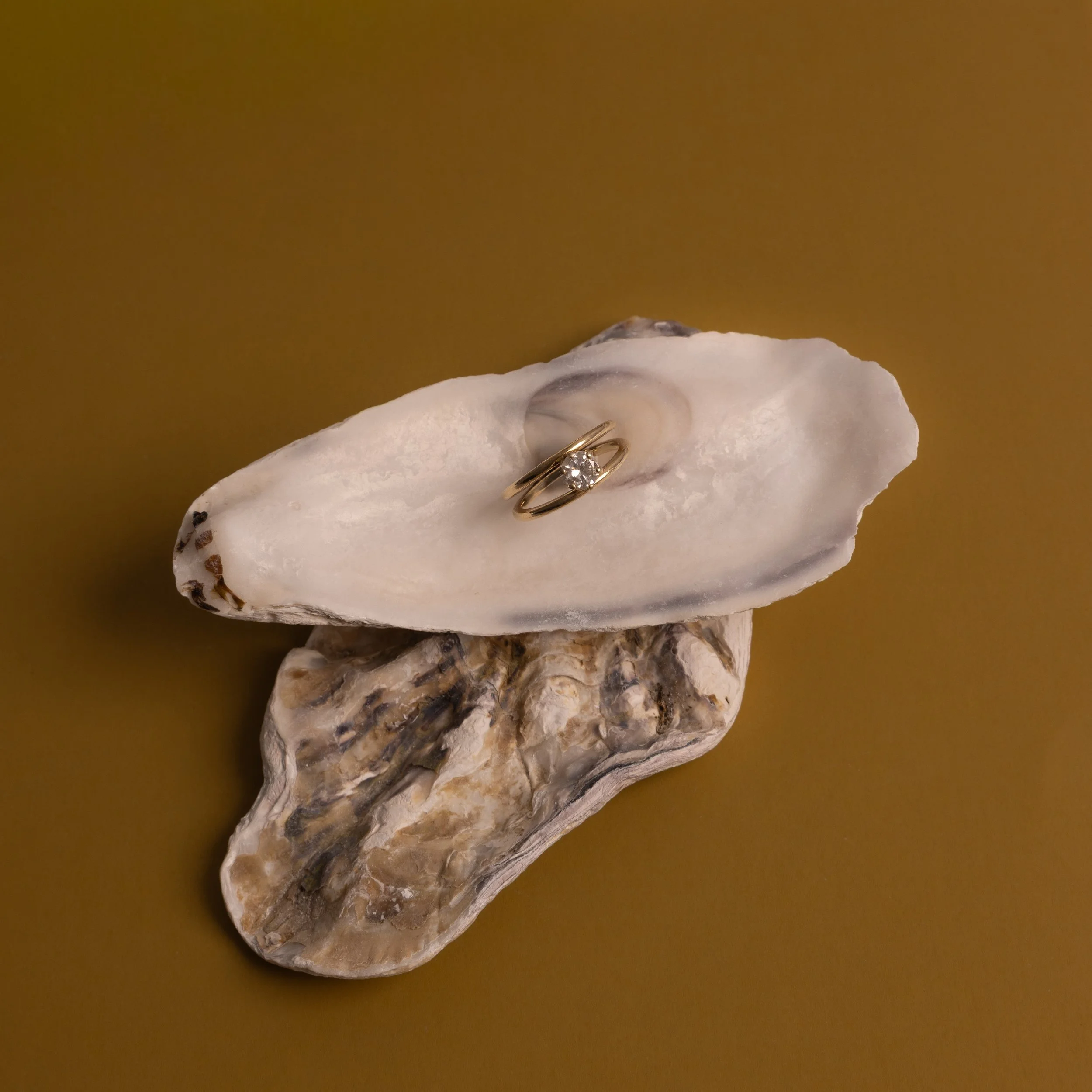 A ring inside of an oyster shell stacked on top of another oyster shell on a yellow green background