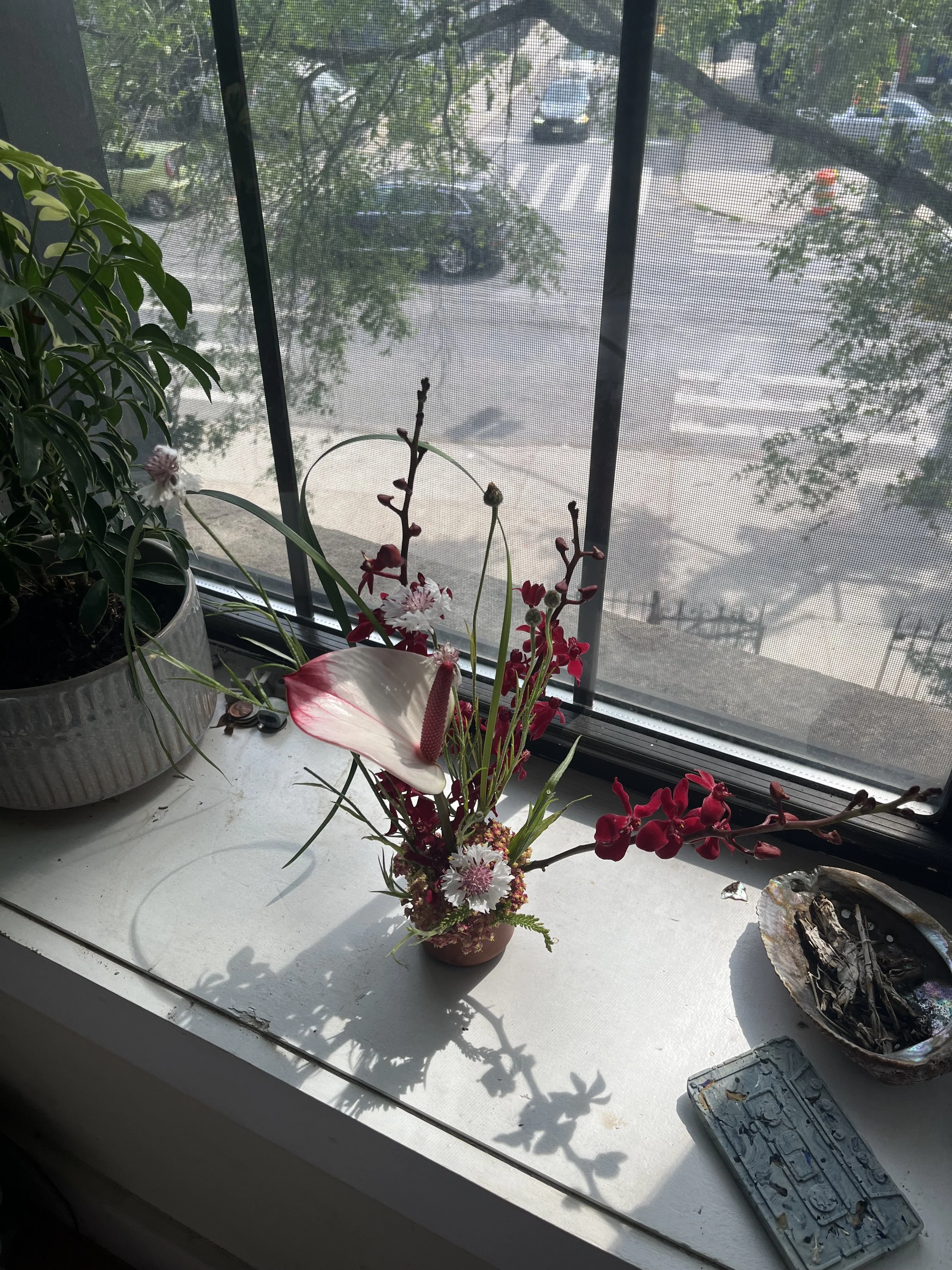 IMG_3287.jpeg