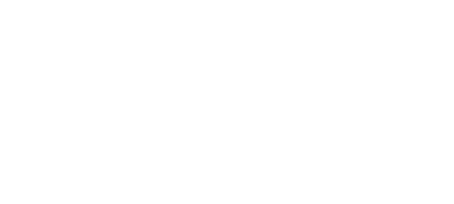 Busy Chef