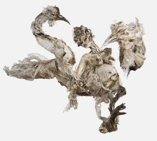 Elham Fallahi: Artist Representative