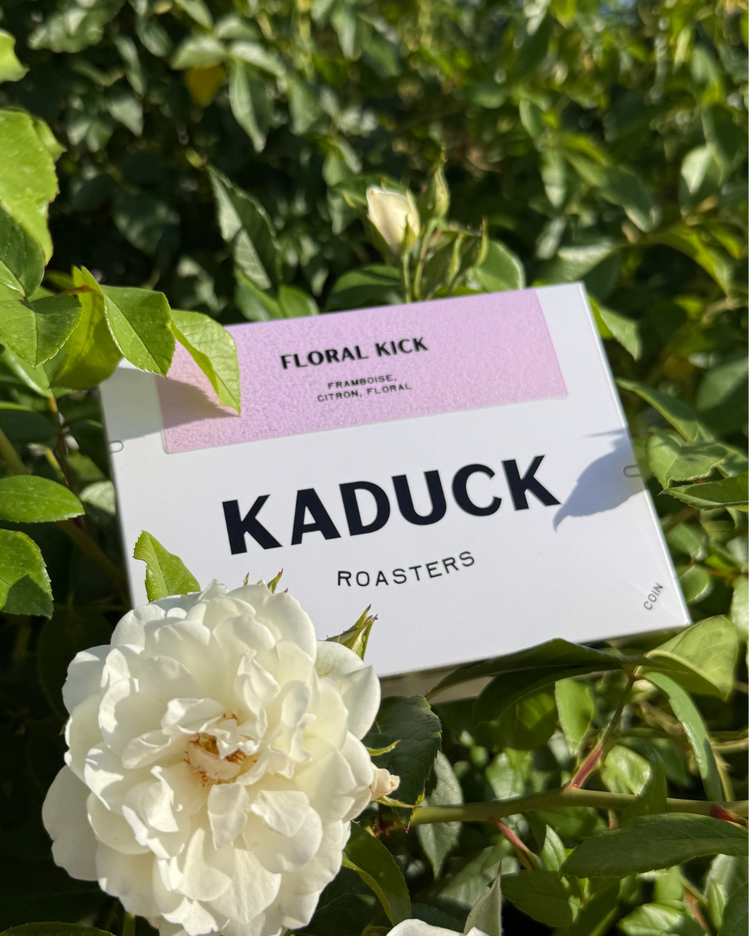 Floral kick - Lavé expérimental
