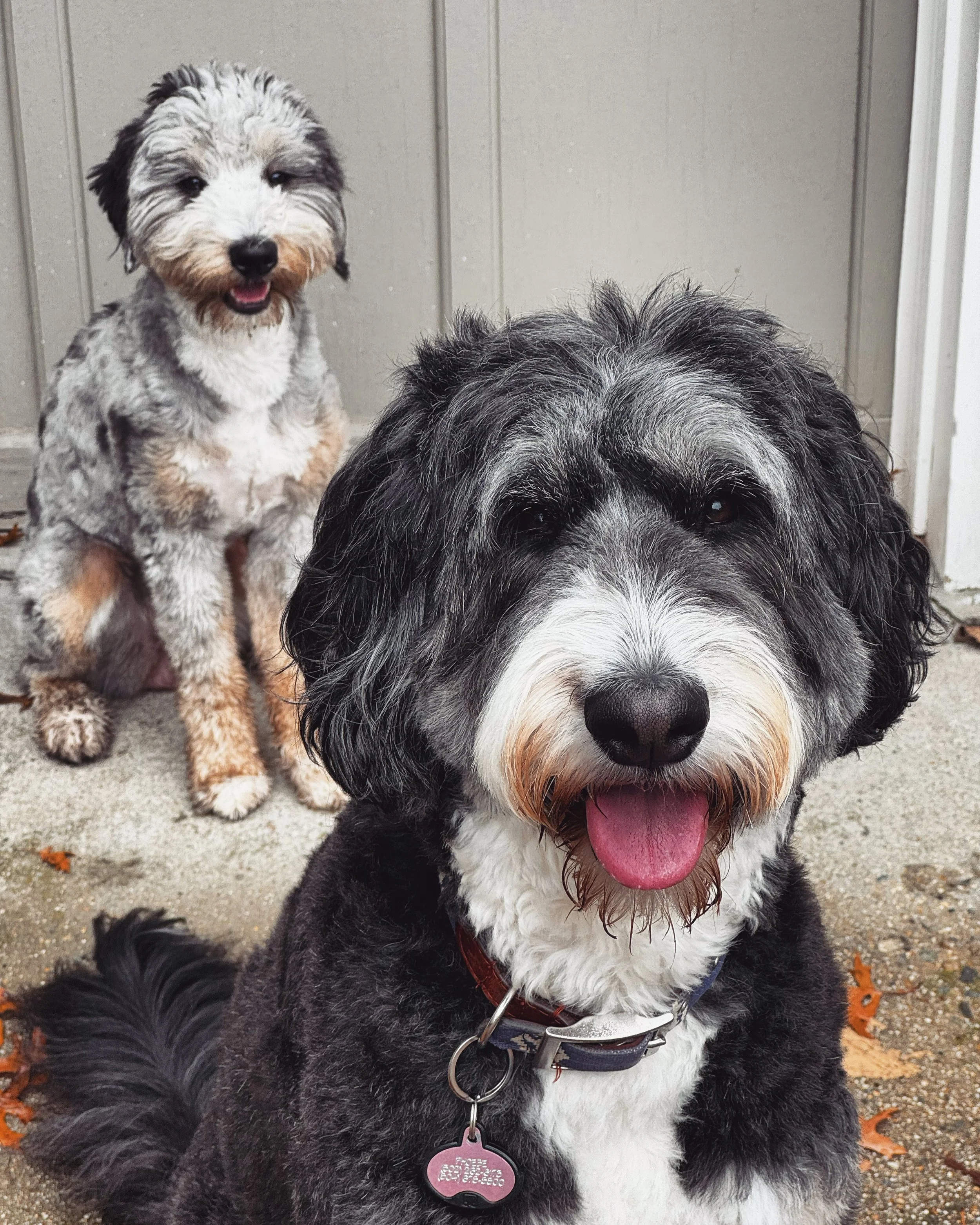 Lottie &amp; Phoebie