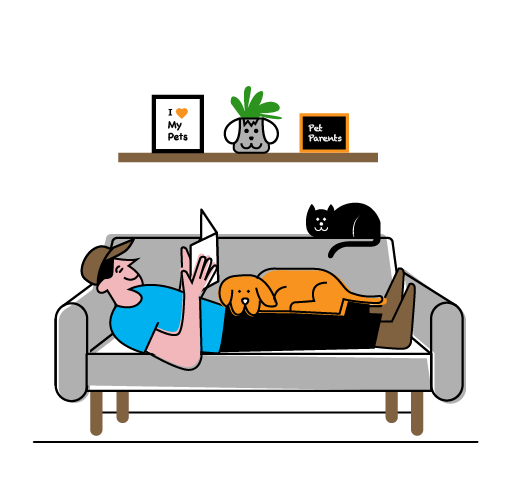 25055_Pet_Sitting_Illustration.png