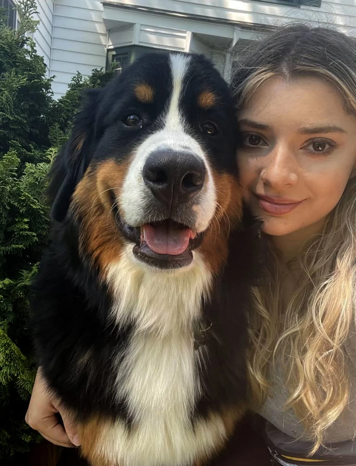 A woman with long curly blonde hair and a nose piercing taking a selfie with a large Bernese mountain dog outside near a house and greenery.