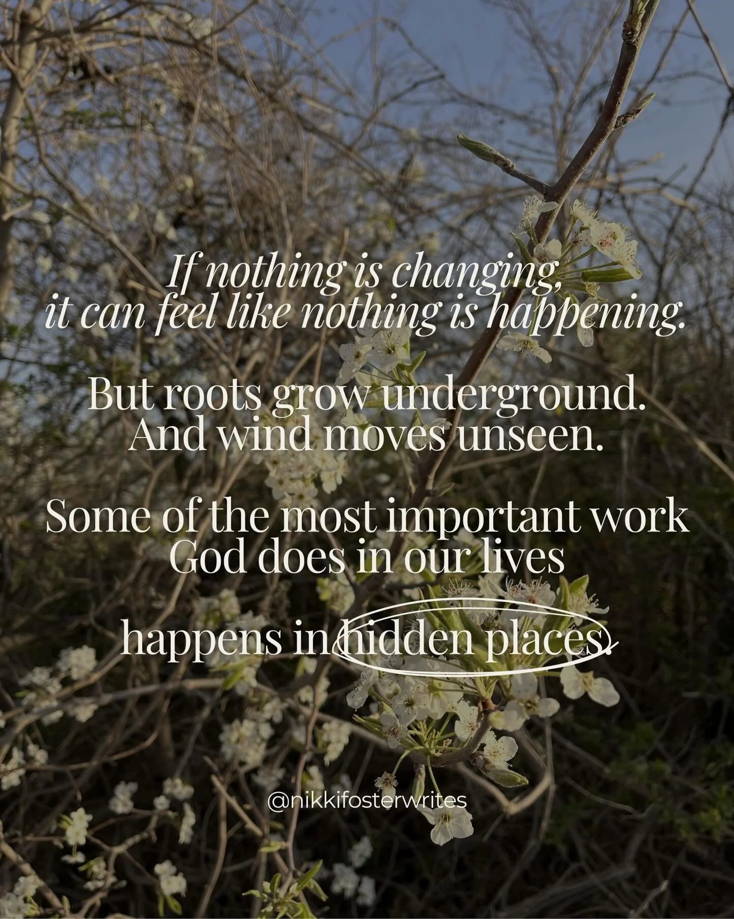 If this season feels quiet, it may not be empty. 
Something important may still be growing.