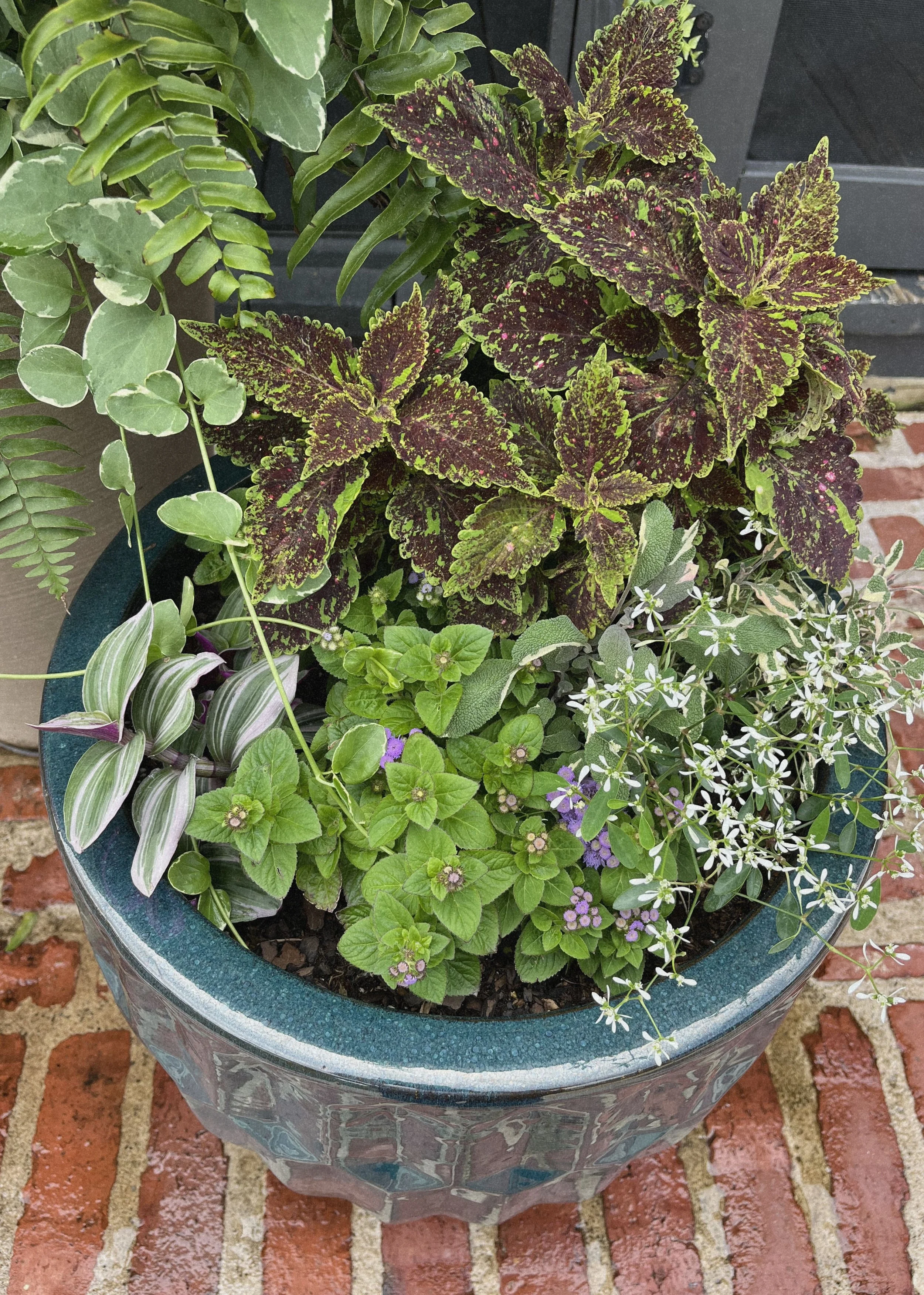 Untitled design-3.jpg