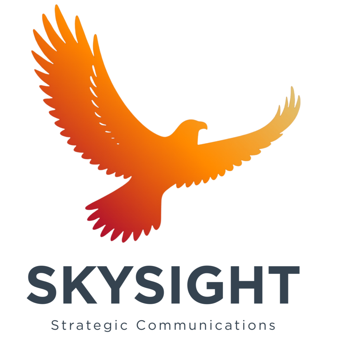 Logo of Skysight featuring an orange bird with open wings above the text 'Skysight'.