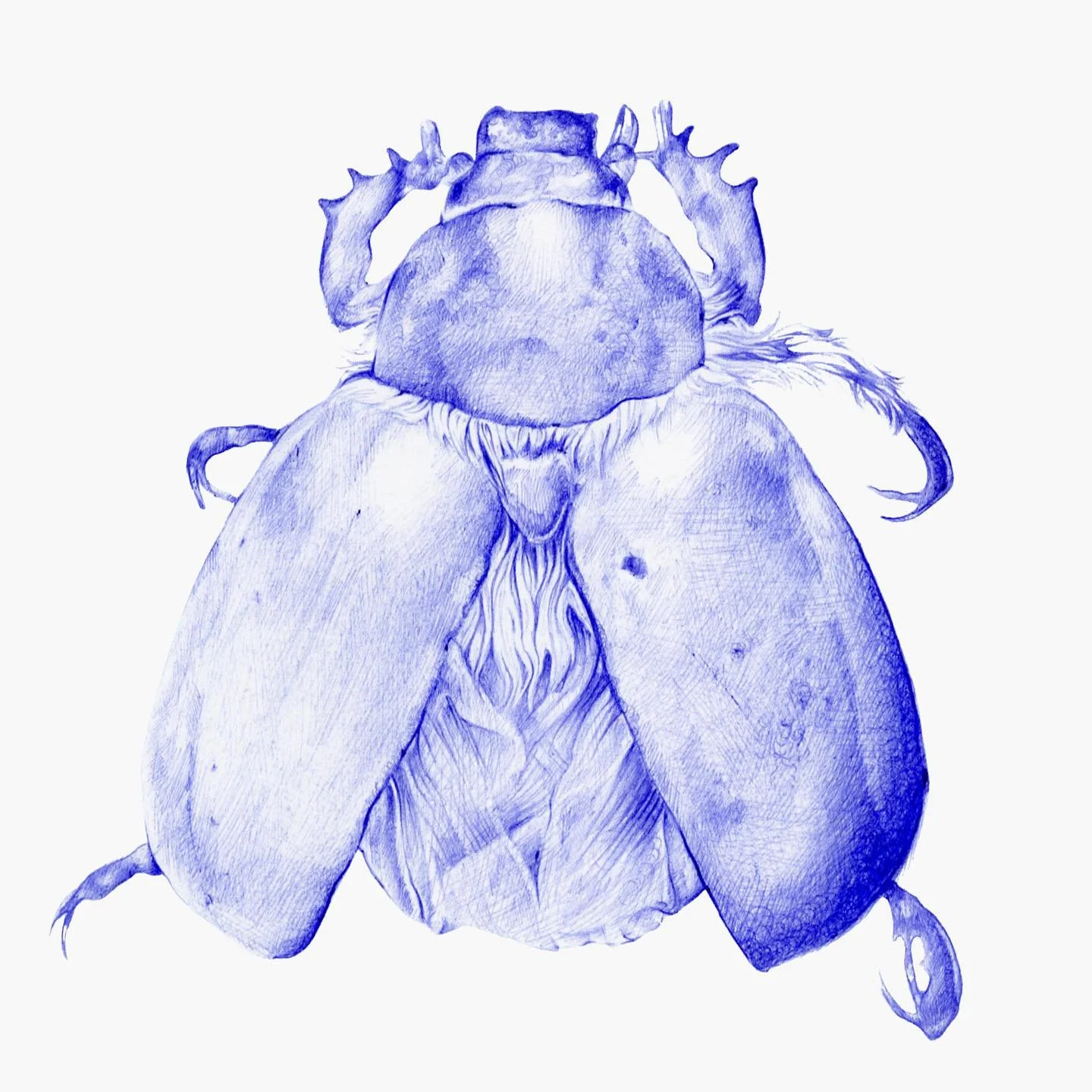 a little beetle done in ballpoint pen, photo (2nd slide) taken at the @svabioart lab 🧫 (soon to be printed on a beetle-dyed fabric)

the beetle brainrot has consumed me because why is this the 5th beetle related thing I&rsquo;ve done in the past mon