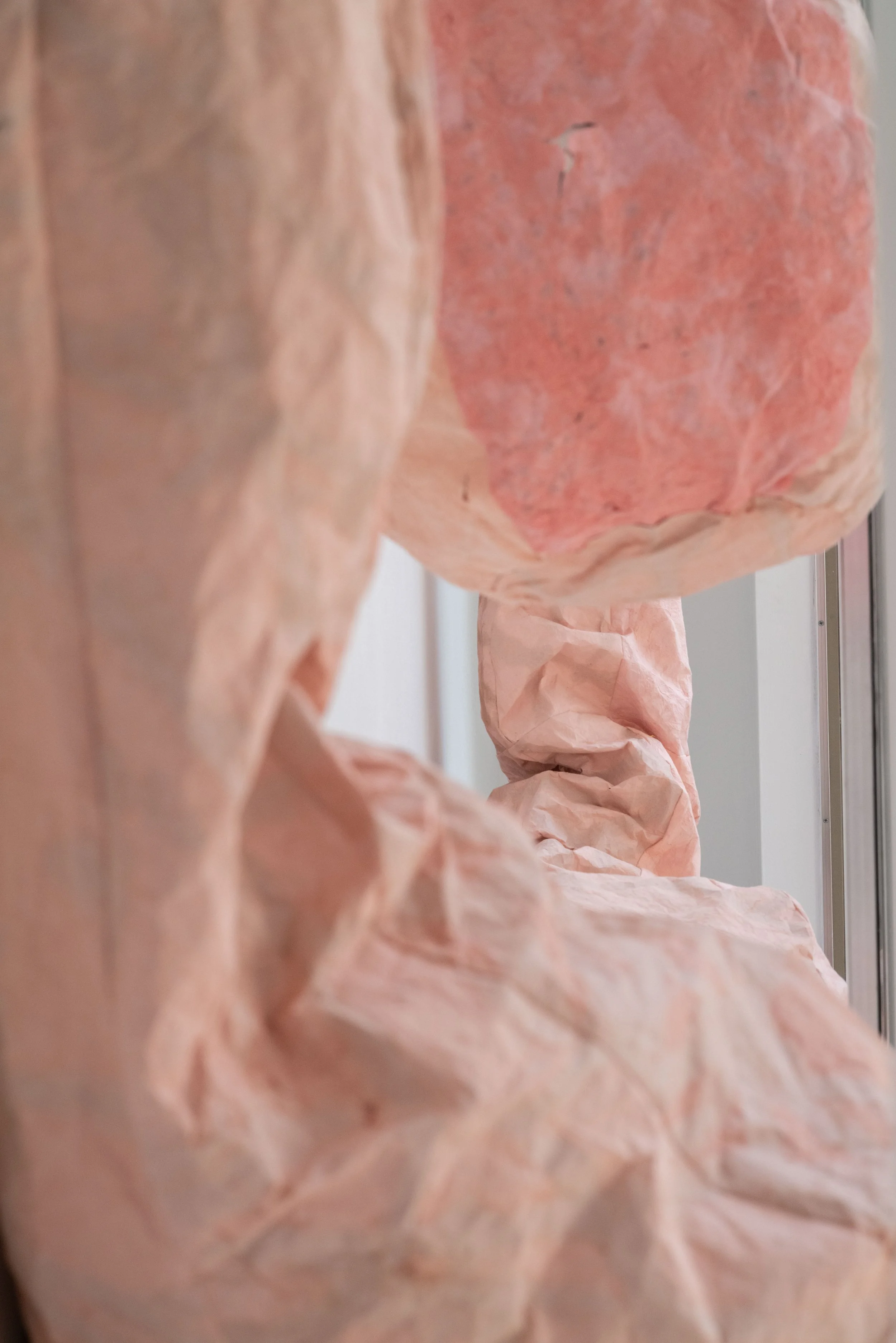 Noa (157 of 168).jpg