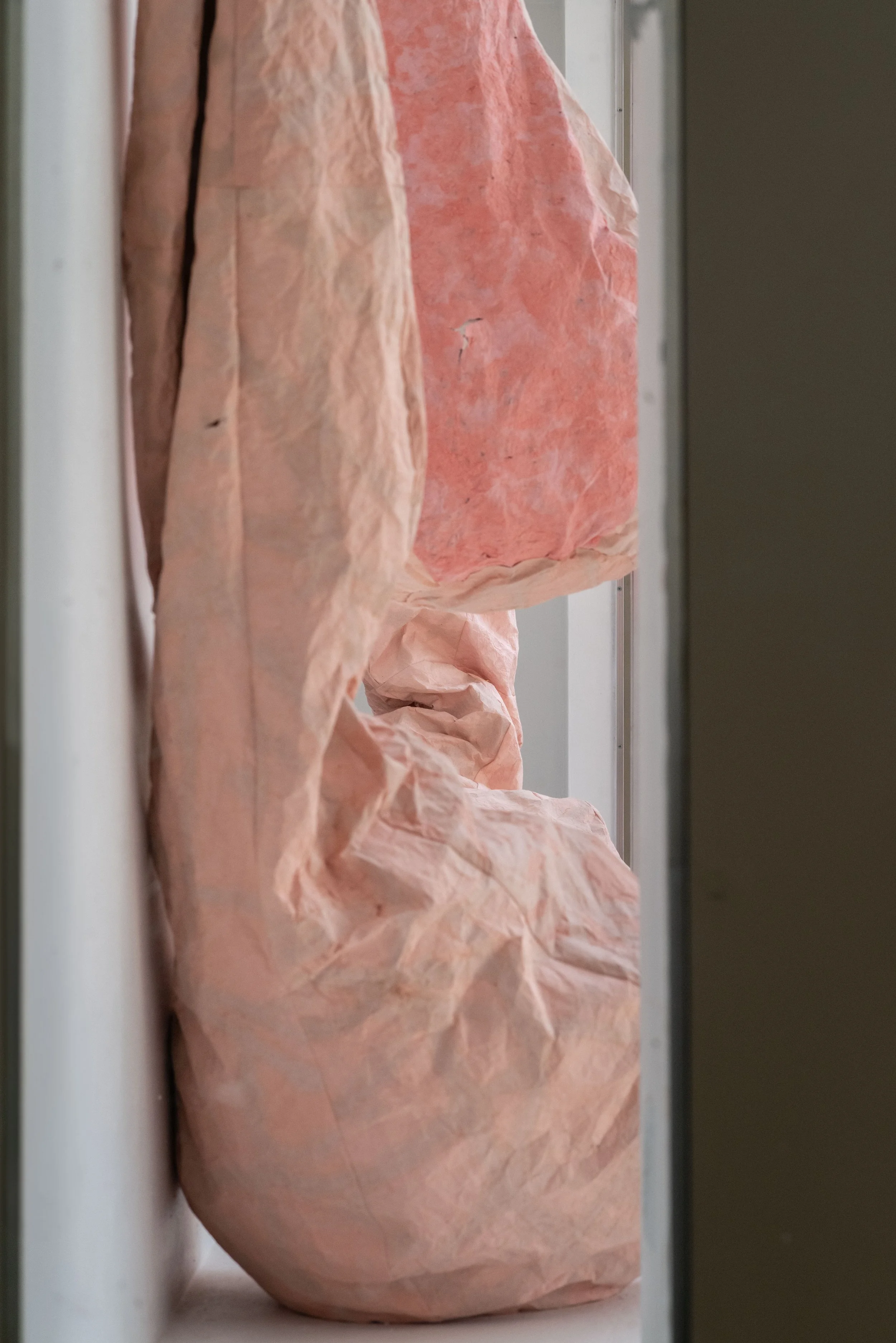 Noa (150 of 168).jpg