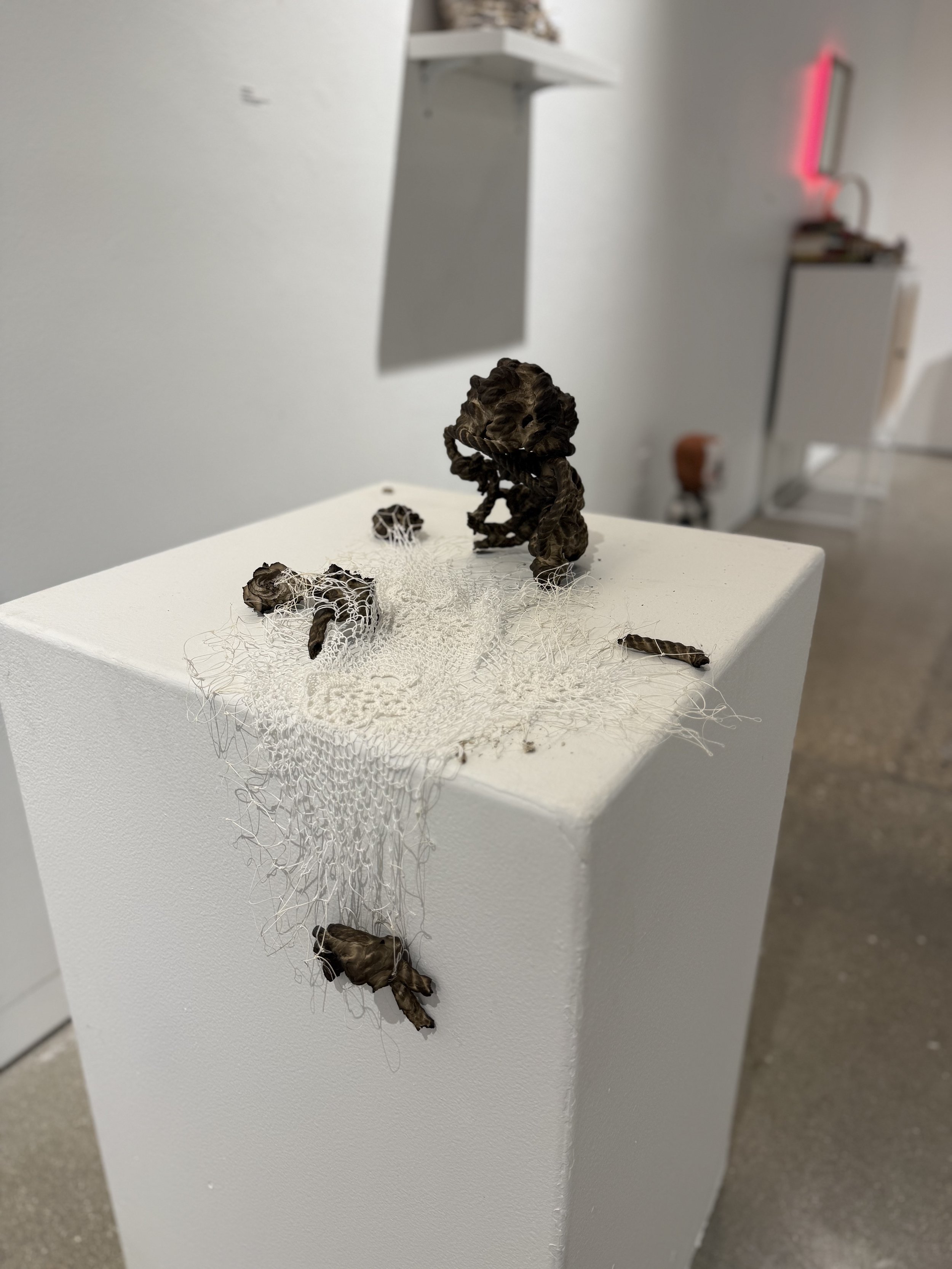 "Memories" 2025
Ceramic burnout sculptures, black walnut dye, handmade cotton net and lace