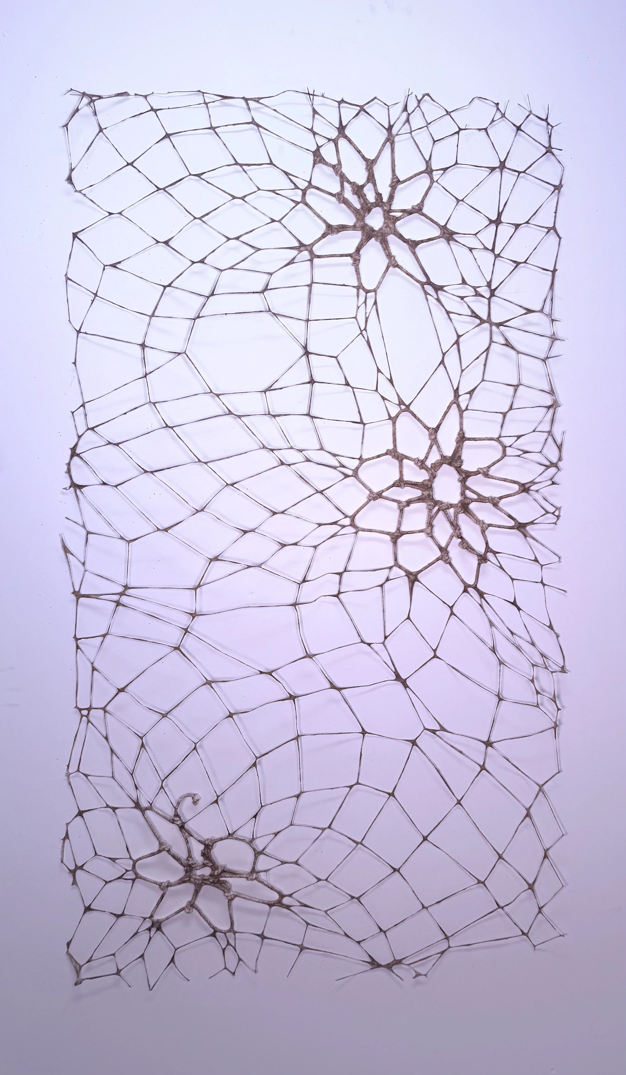 "Suspensions" 2026, 6'x2'