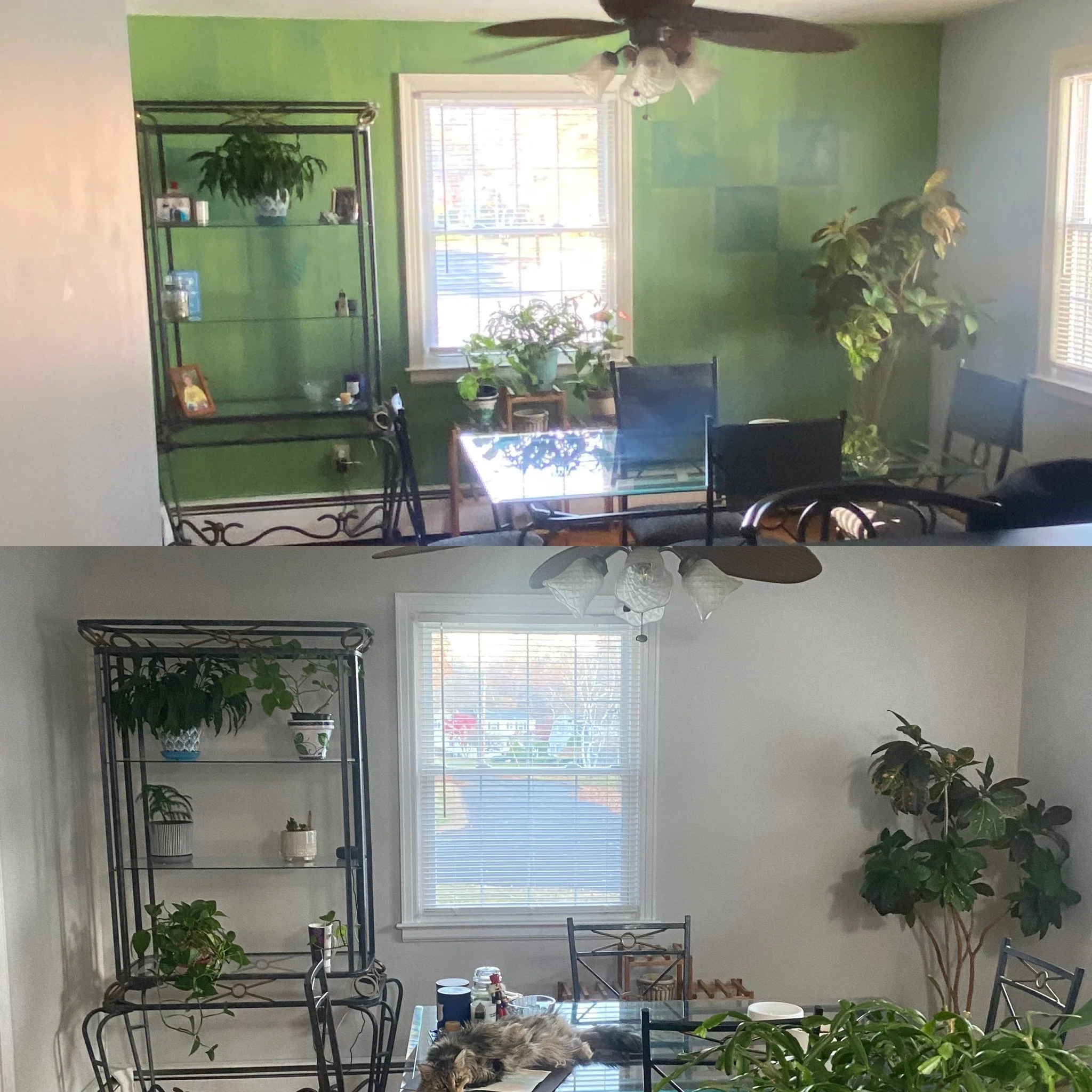 Comparison of a dining room before and after cleaning, showing the room with green walls and cluttered table in the top image, and a clean, organized space with white walls, cleaning supplies, and a cat on the table in the bottom image.
