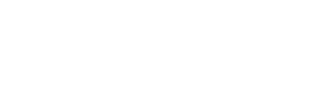 NO NAME COLLECTIVE