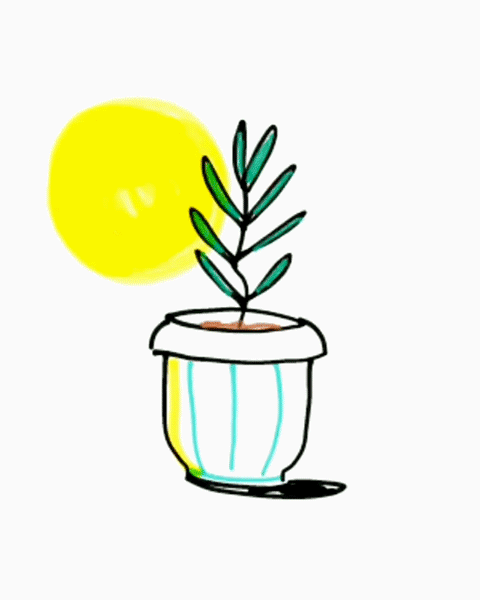 plant cel animation