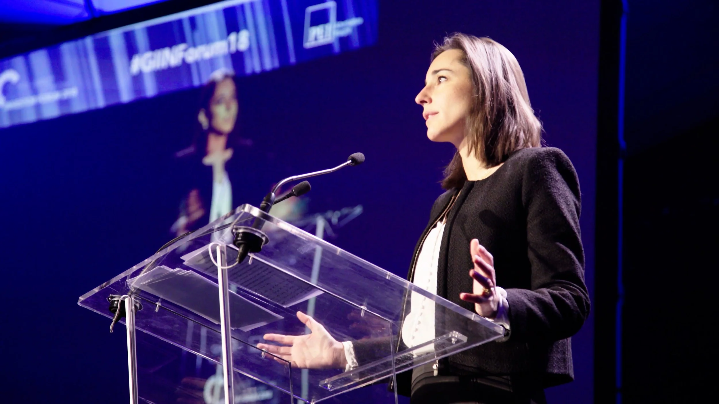 GIIN Impact Investment — Paris.