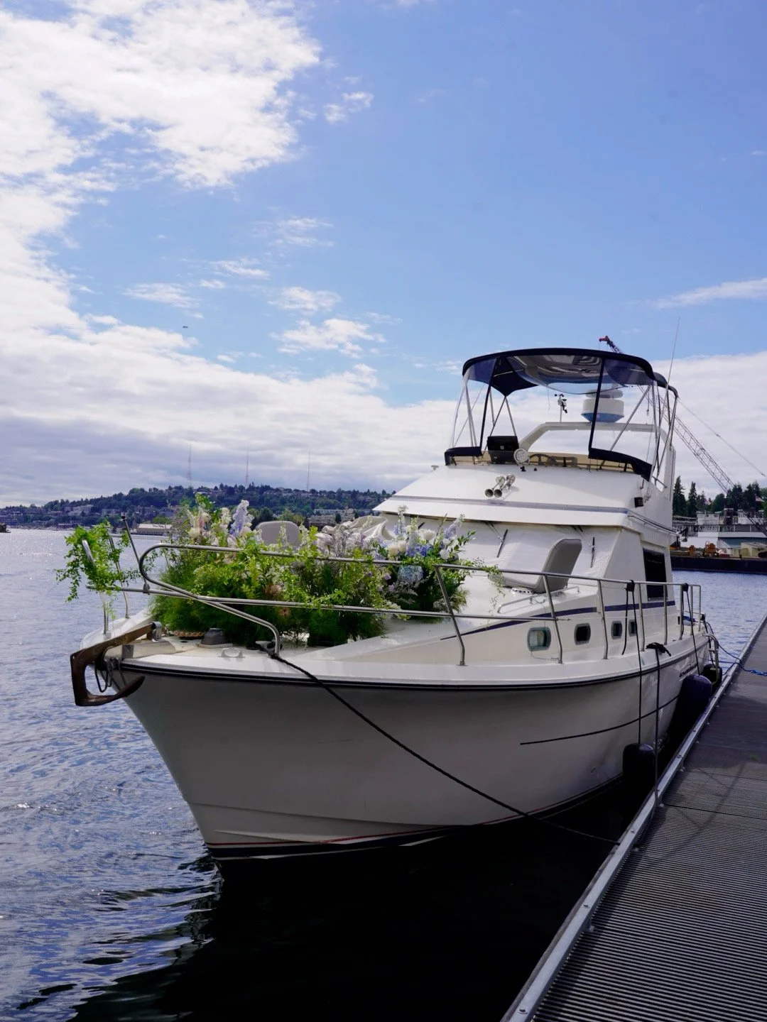 yachtproposal9.jpg