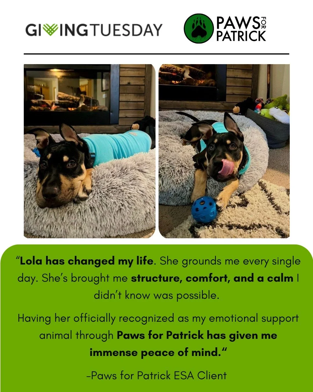 A reminder of why Giving Tuesday matters. 

Your support helps people find comfort, stability, and connection through the animals who mean everything to them. 🐾

Make a real difference in lives across the country this Giving Tuesday. 🌎

Donate toda