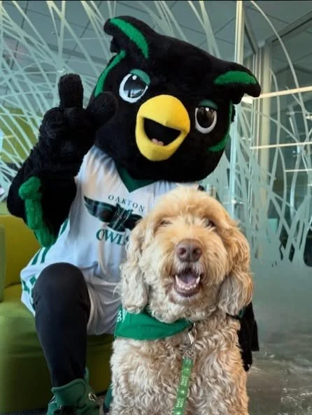 Benji and Sutter visited @oaktoncollege today
to offer pre finals stress relief. 🧘 It&rsquo;s not often our dogs are upstaged by other cute animals🐶🤣💚