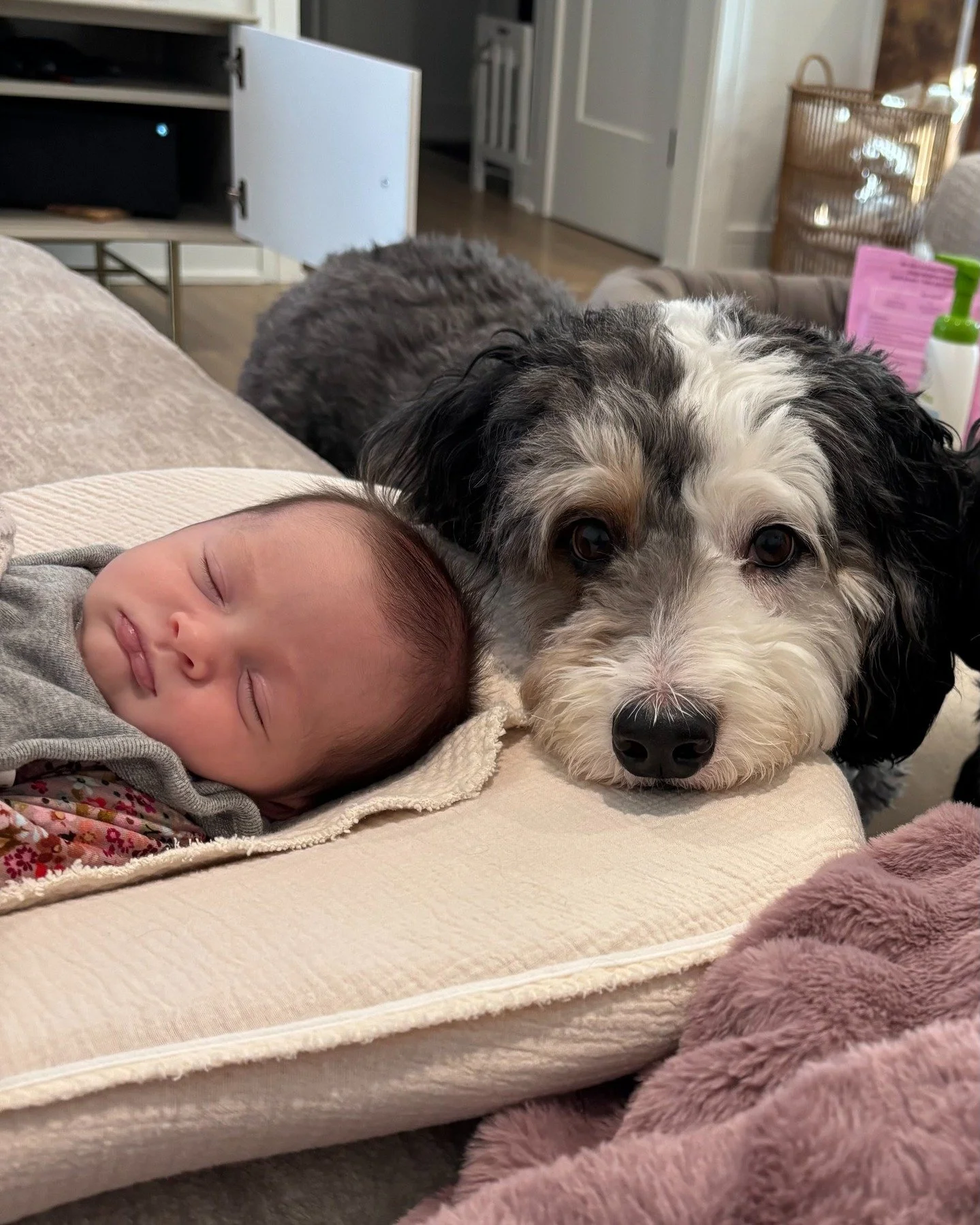 We have an announcement! 👏

One of our Therapy Dogs, Kylo, and his handler, Taylor, are retiring for the best of reasons. Kylo has a new career as a big brother to his adorable baby sister, Parker. Kylo is taking his new job very seriously and is sm