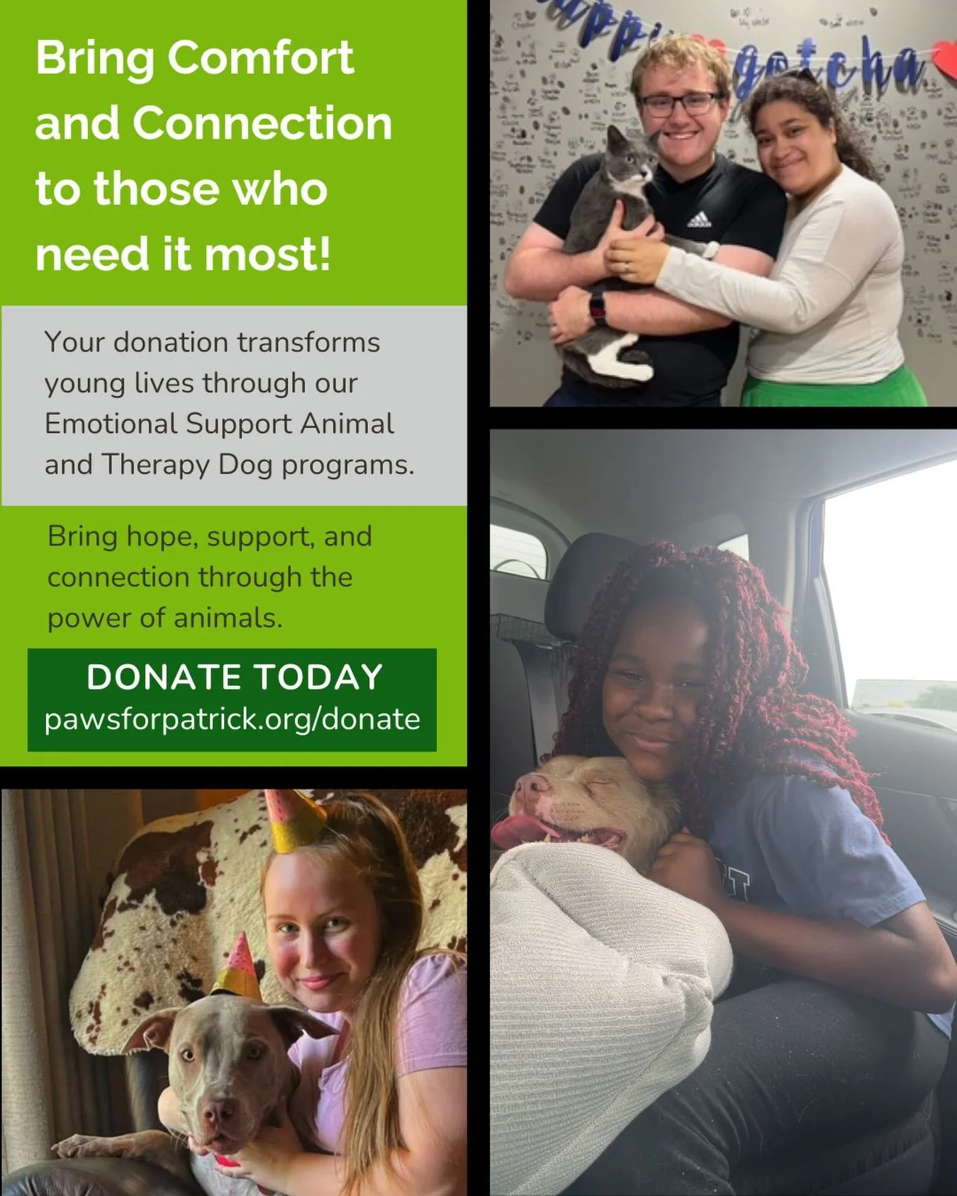 As we approach the end of the year, your generosity can help bring comfort, connection, and hope to young people who need it most. 💚
Every gift directly supports our Emotional Support Animal, Therapy Dog, and Facility Dog programs that make a differ