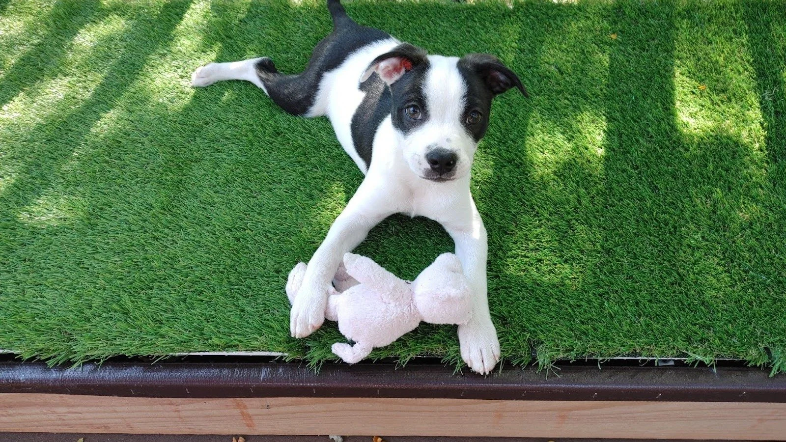 "I just wanted to take a moment to thank you so sincerely for the assistance during this process. 

I am amazed and humbled by such a beautiful act of kindness and love for a portion of society that is so often misunderstood and undervalued. 

W