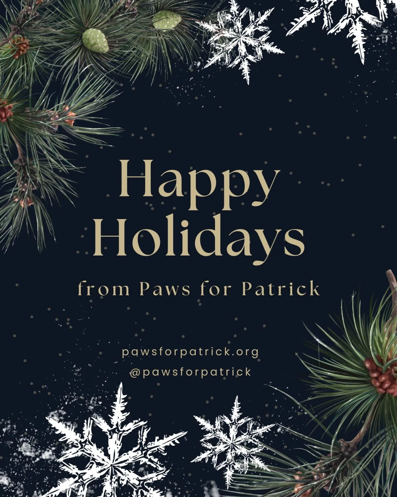 Happy Holidays from all of us at Paws for Patrick! This season, we&rsquo;re grateful for everyone who makes our mission possible. Wishing you a joyful, and cozy holiday season. 🤍 

If this time of year feels heavy, please know you&rsquo;re not alone