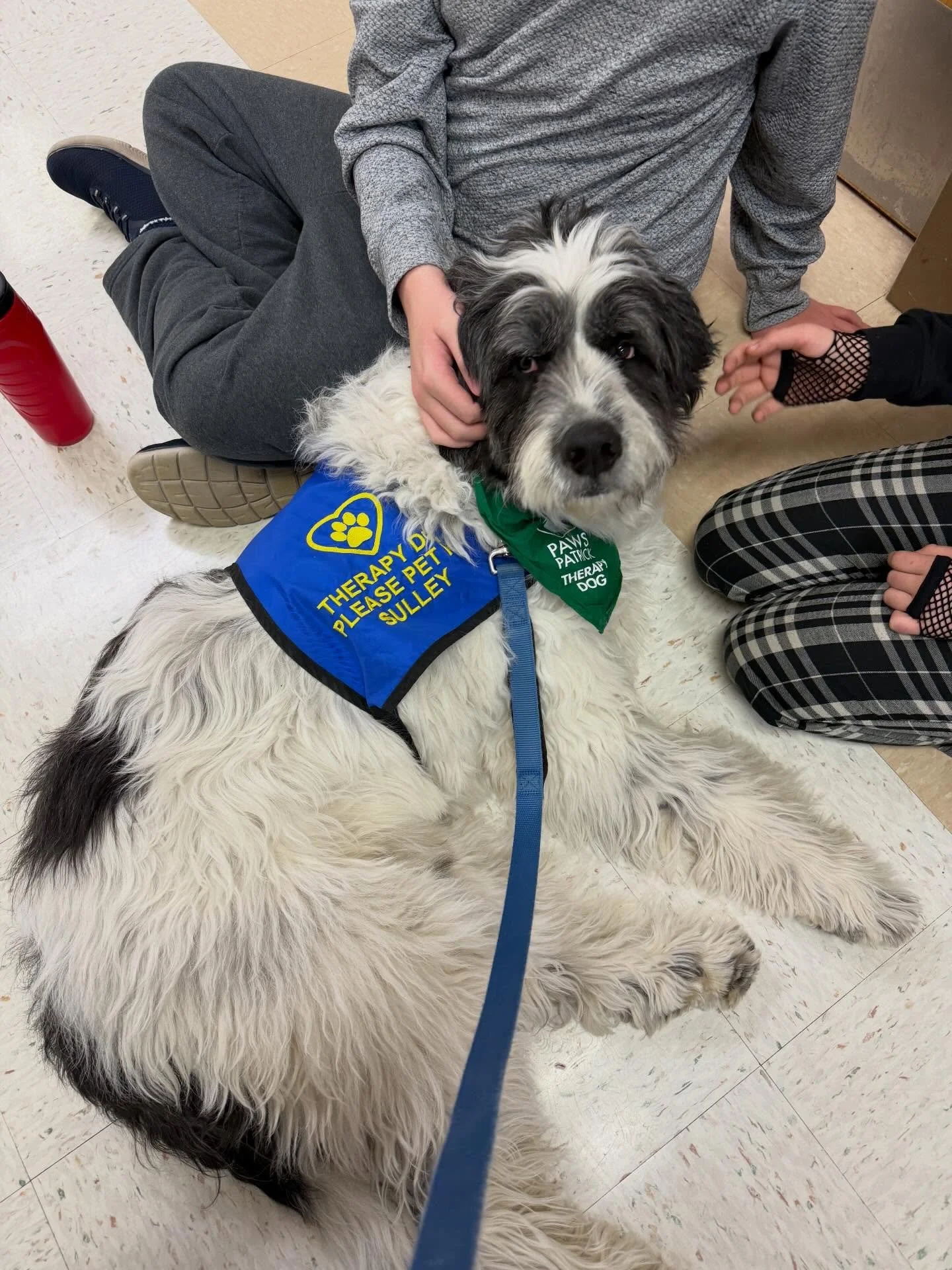 Our Paws for Patrick Therapy Dog, Sulley was giving and getting all the love at North Shore Academy today! 💚🐾