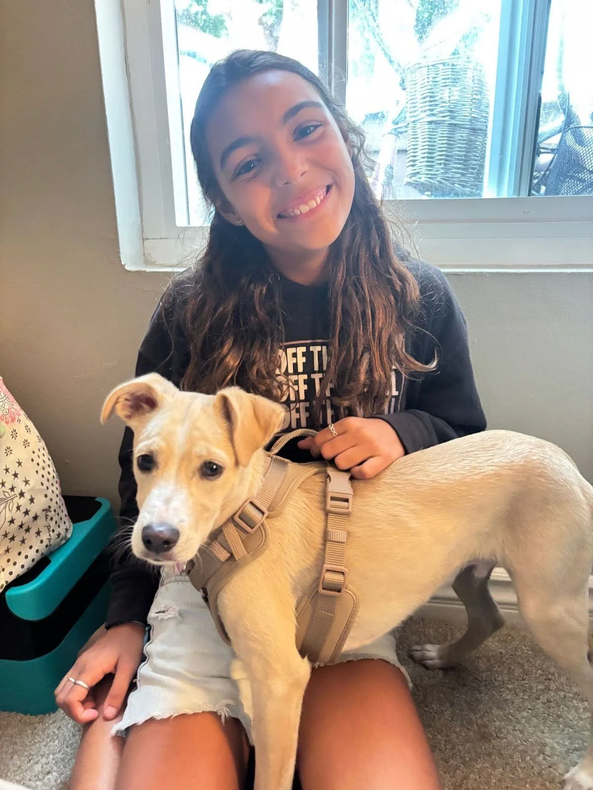 This little pup is loving life as an ESA with his new family. 💚🐾