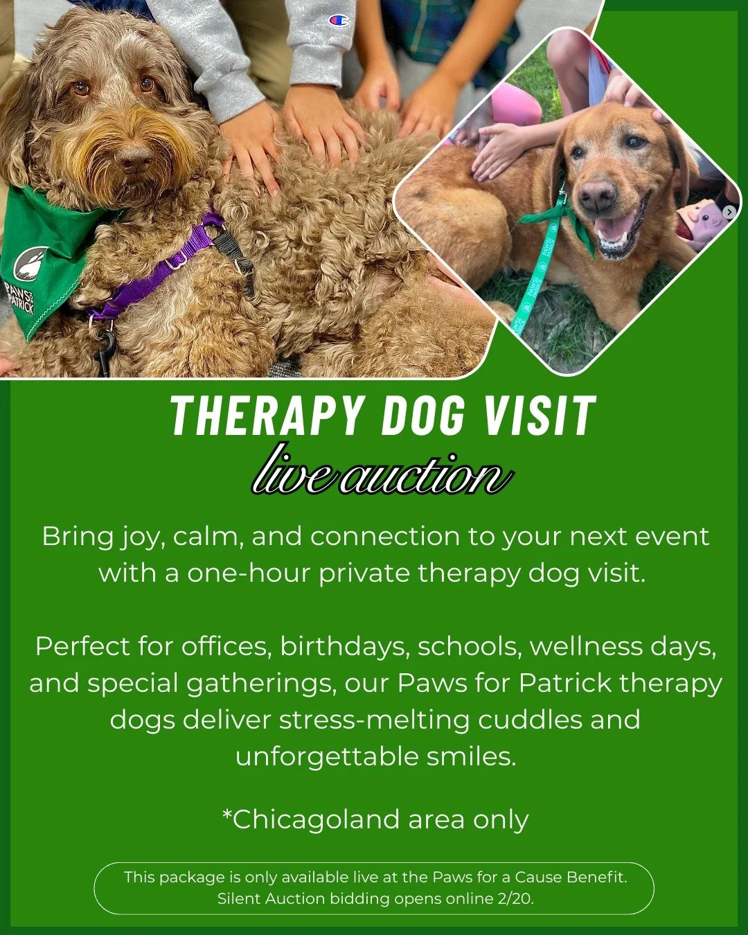 Need a guaranteed mood boost? 🐾💚

Whether you're looking to brighten someone's day, reduce stress in the workplace, or add a unique touch to an event, experience the unmatched joy and relaxation of a one-hour private therapy dog visit!

Perfect for