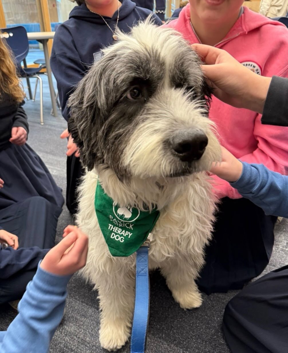 Instant mood boost, courtesy of four paws 🐾💚
Nothing like a therapy dog visit to bring smiles, calm, and a whole lot of tail wags.
