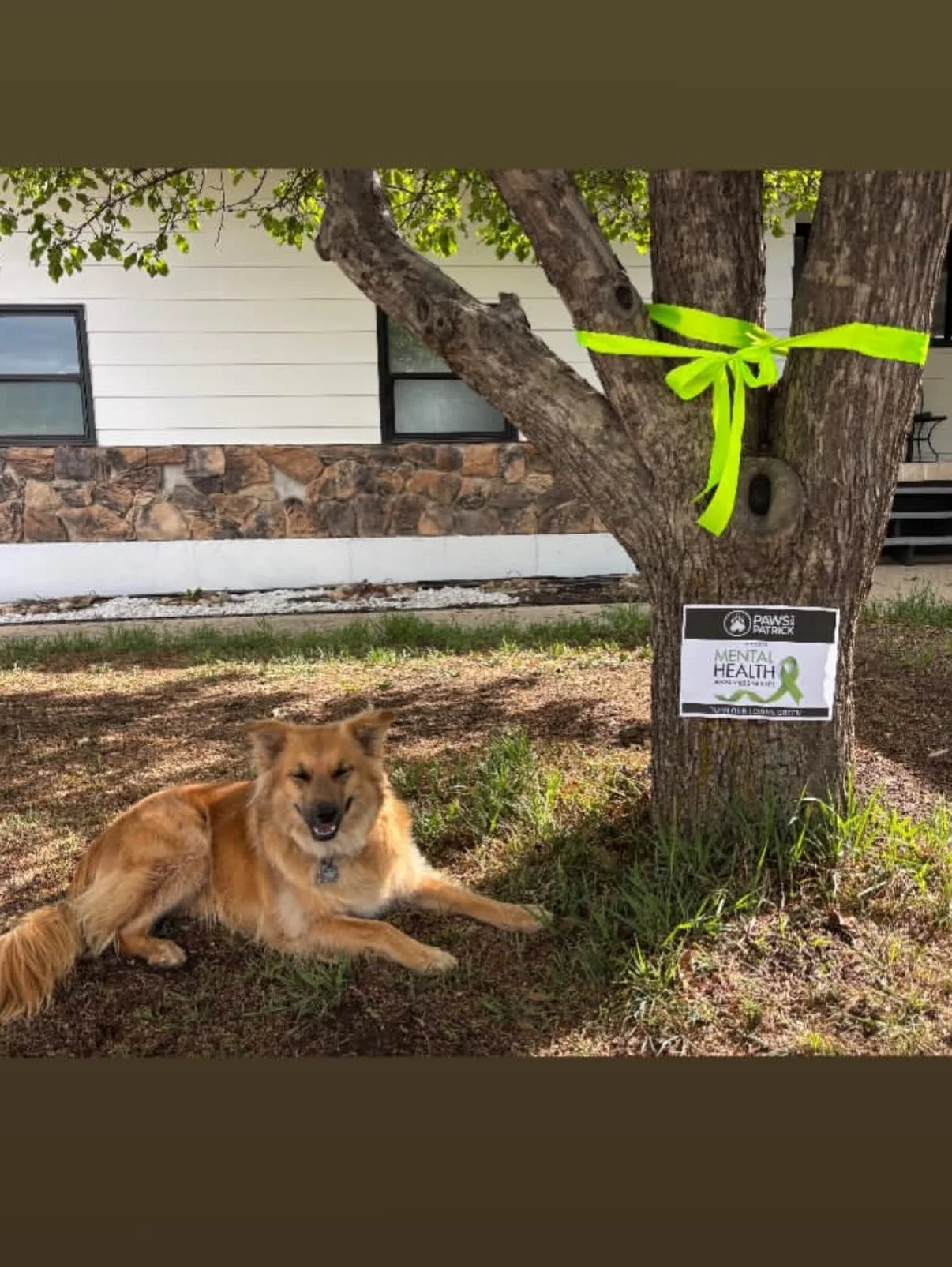 You guys have showed up and started Turning Our Towns Green for Mental Health Awareness Month!💚

From green ribbons tied around neighborhoods to yard signs popping up across communities, every display is helping spark conversations, show support, an