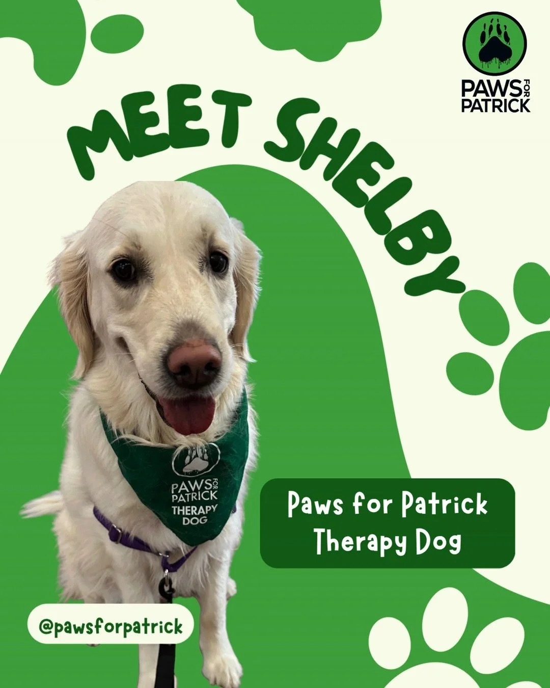 Meet Shelby, one of our incredible Paws for Patrick Therapy Dogs. 🐾

Shelby helps bring comfort and connection to young people through our Therapy Dog Program, offering support in ways that words sometimes can&rsquo;t. 

This Mental Health Awareness