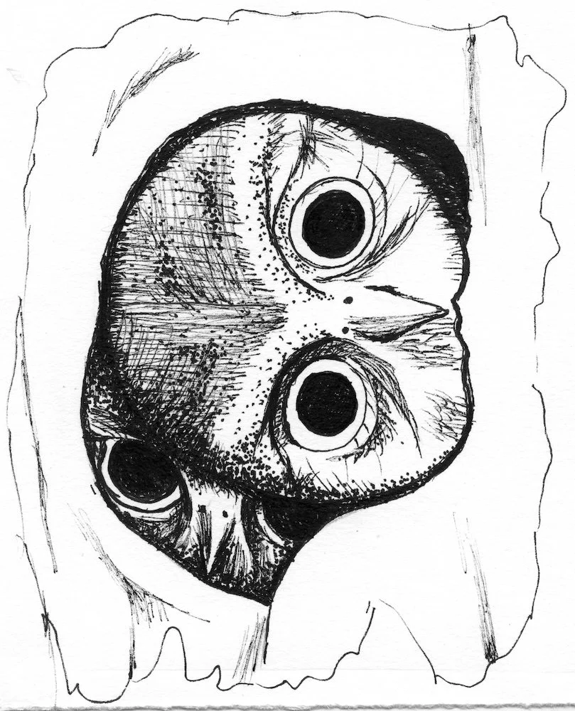 05162025Doodle Baby Owls in Cactus.jpg