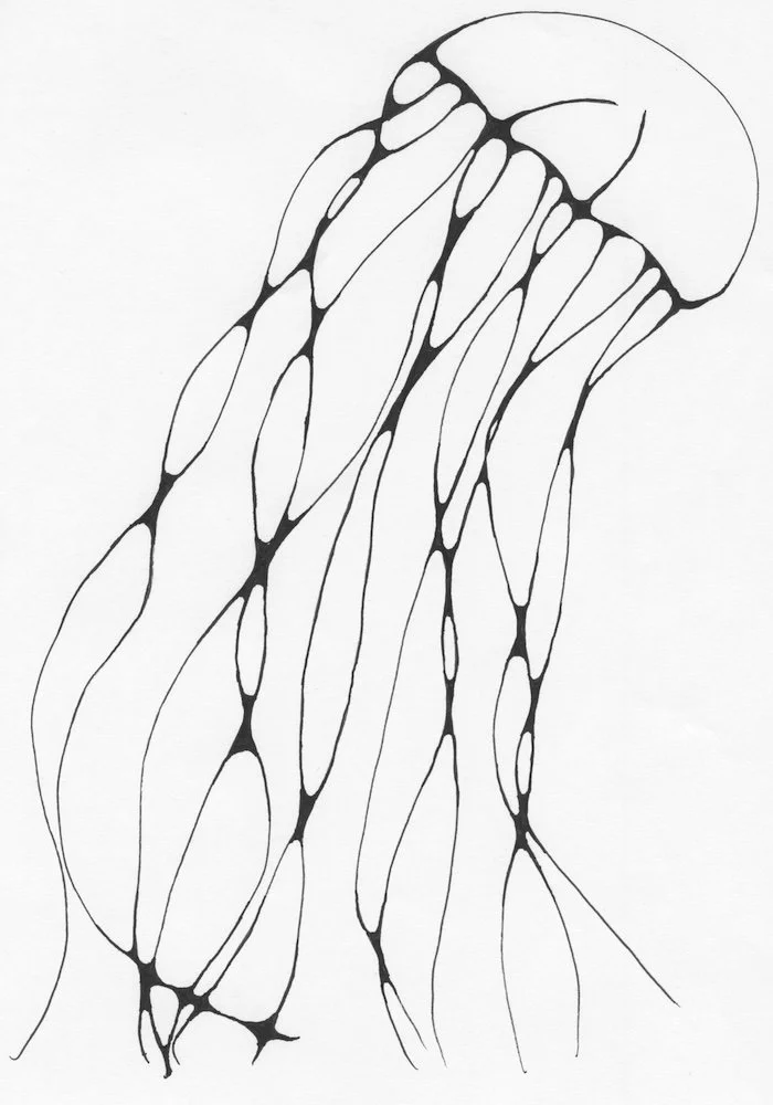 JellyFish.jpg