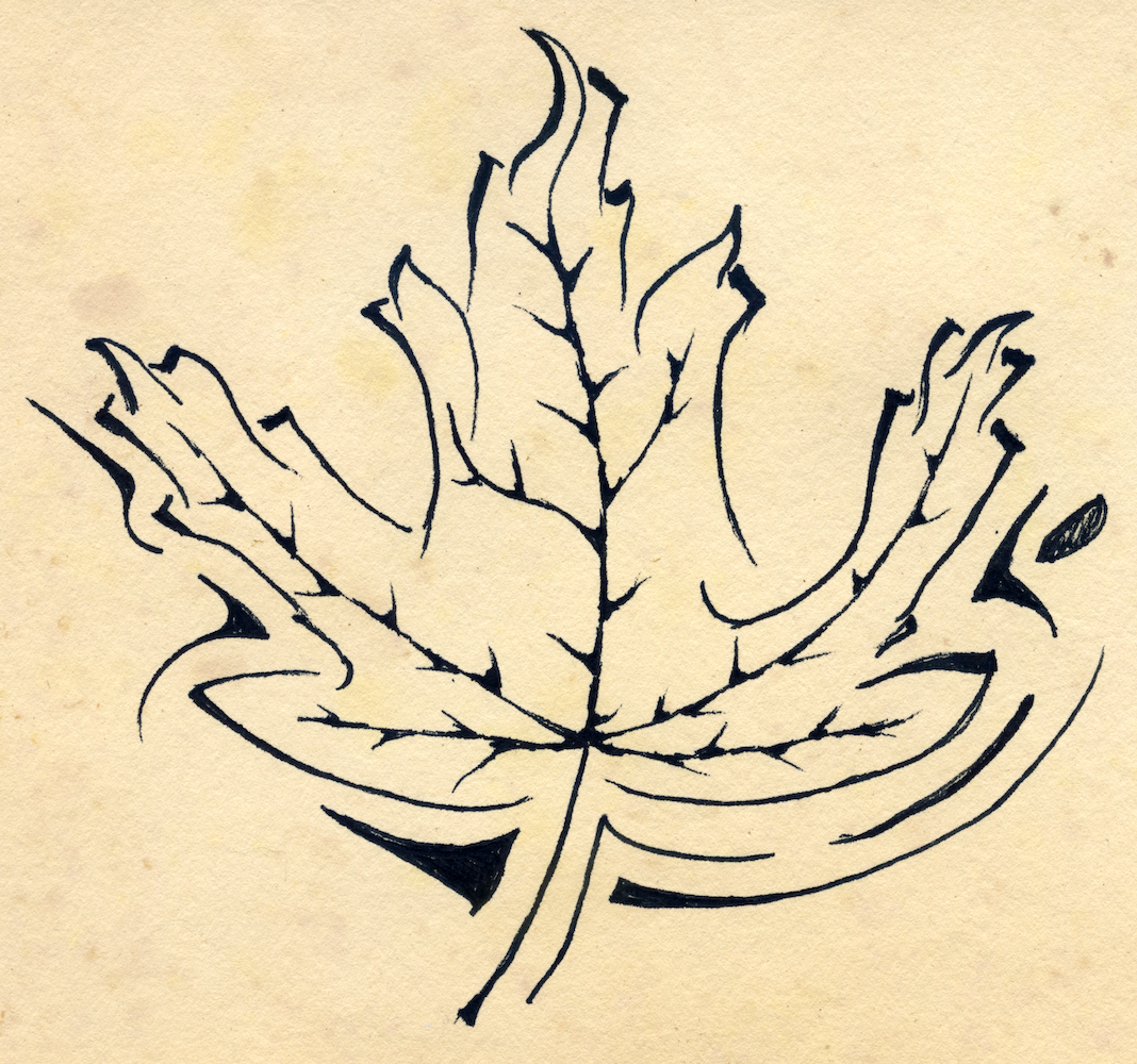 Scan copy 4.png