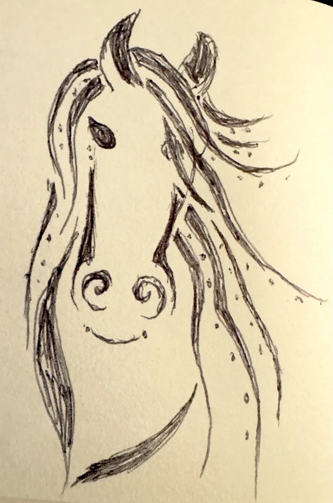 Hand-drawn sketch of a horse's head and mane, facing forward with detailed facial features and flowing hair.