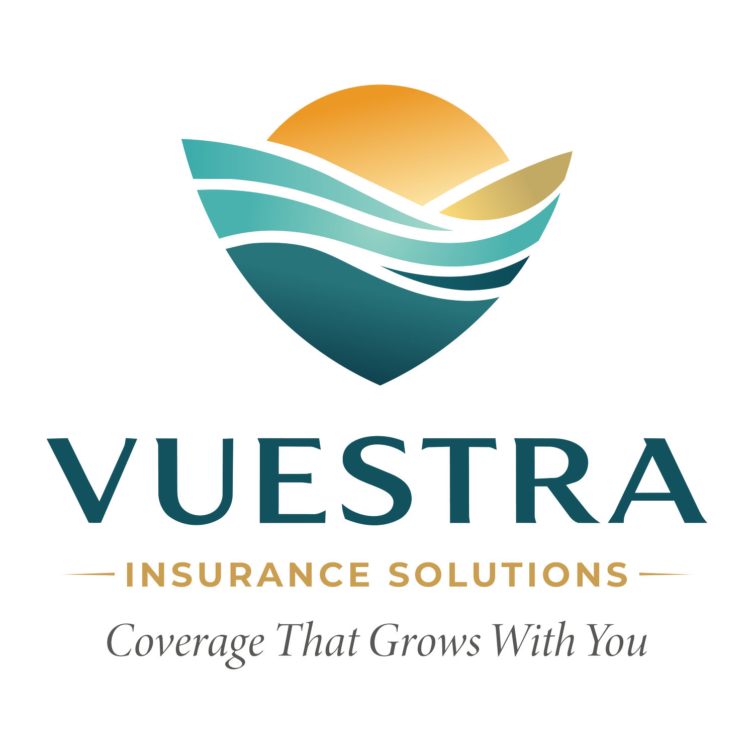 Vuestra Insurace Solutions