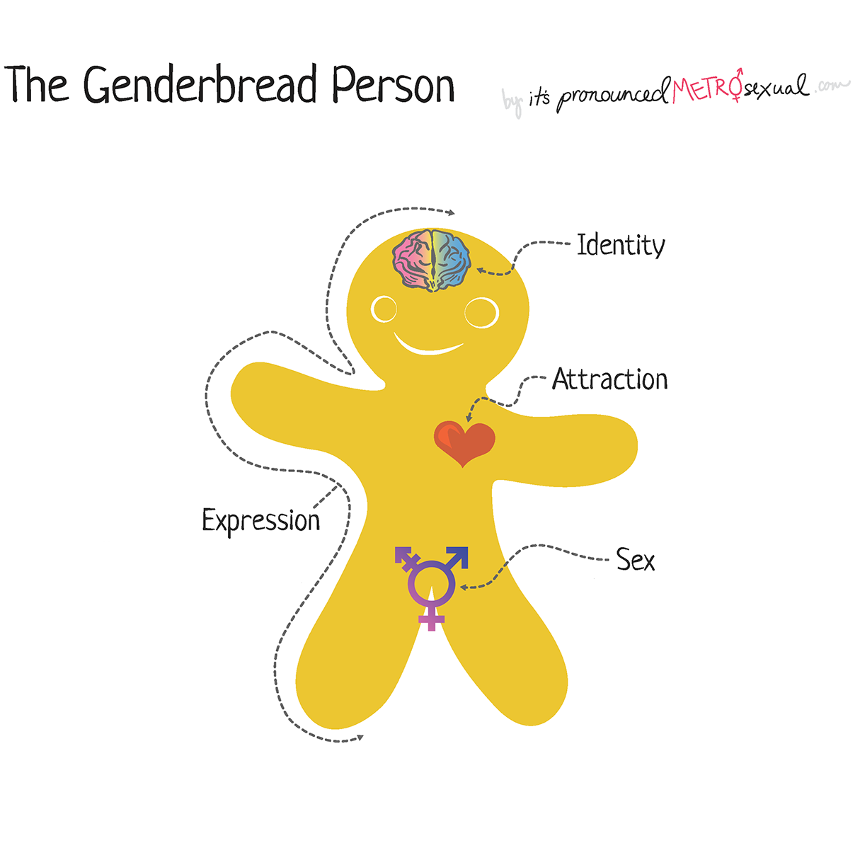 Gender-bread