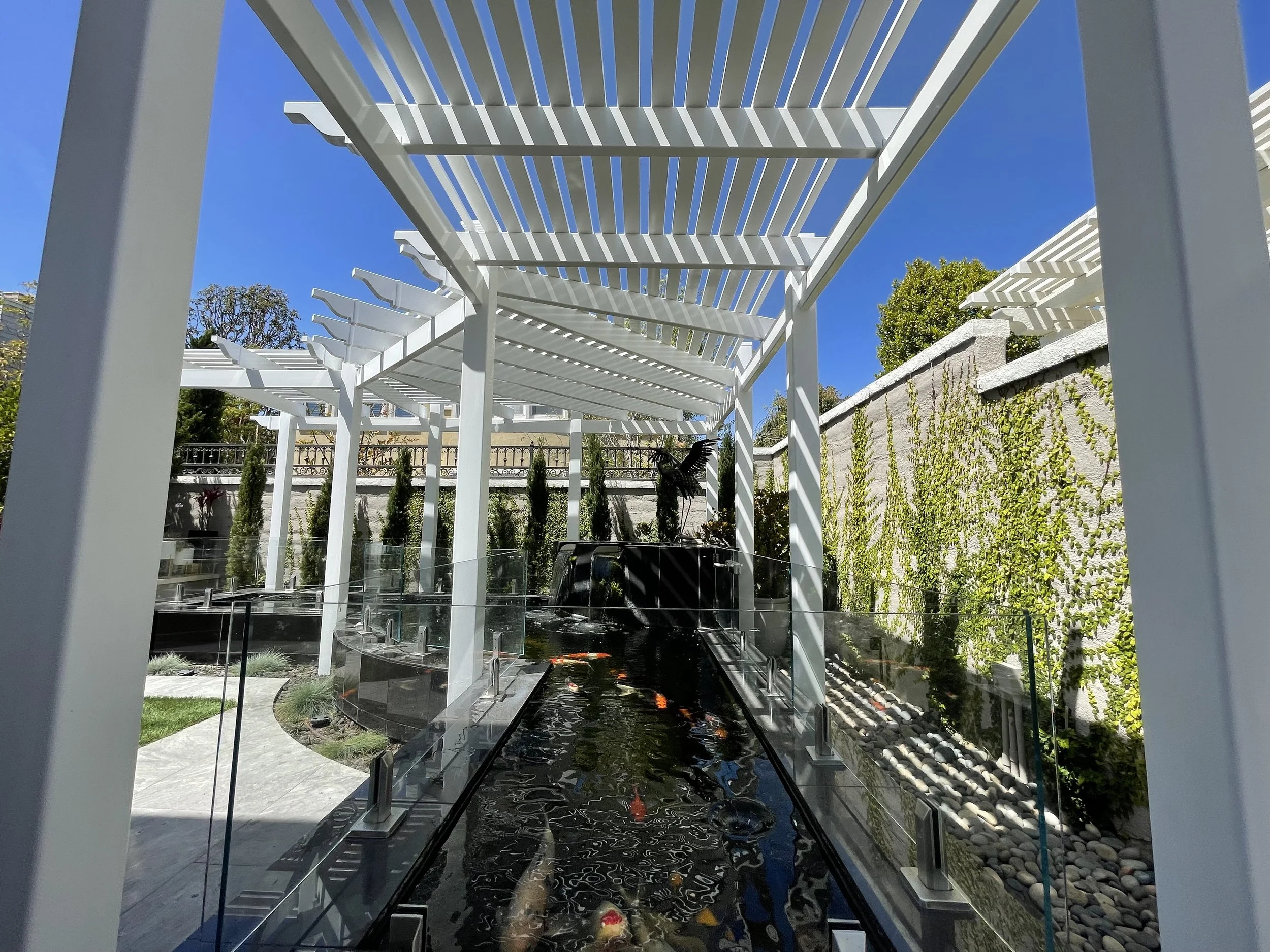 Modern outdoor water feature or small pond with colorful fish, surrounded by a white pergola structure, glass panels, and a stone pathway, with green plants and climbing vines on a wall in the background.