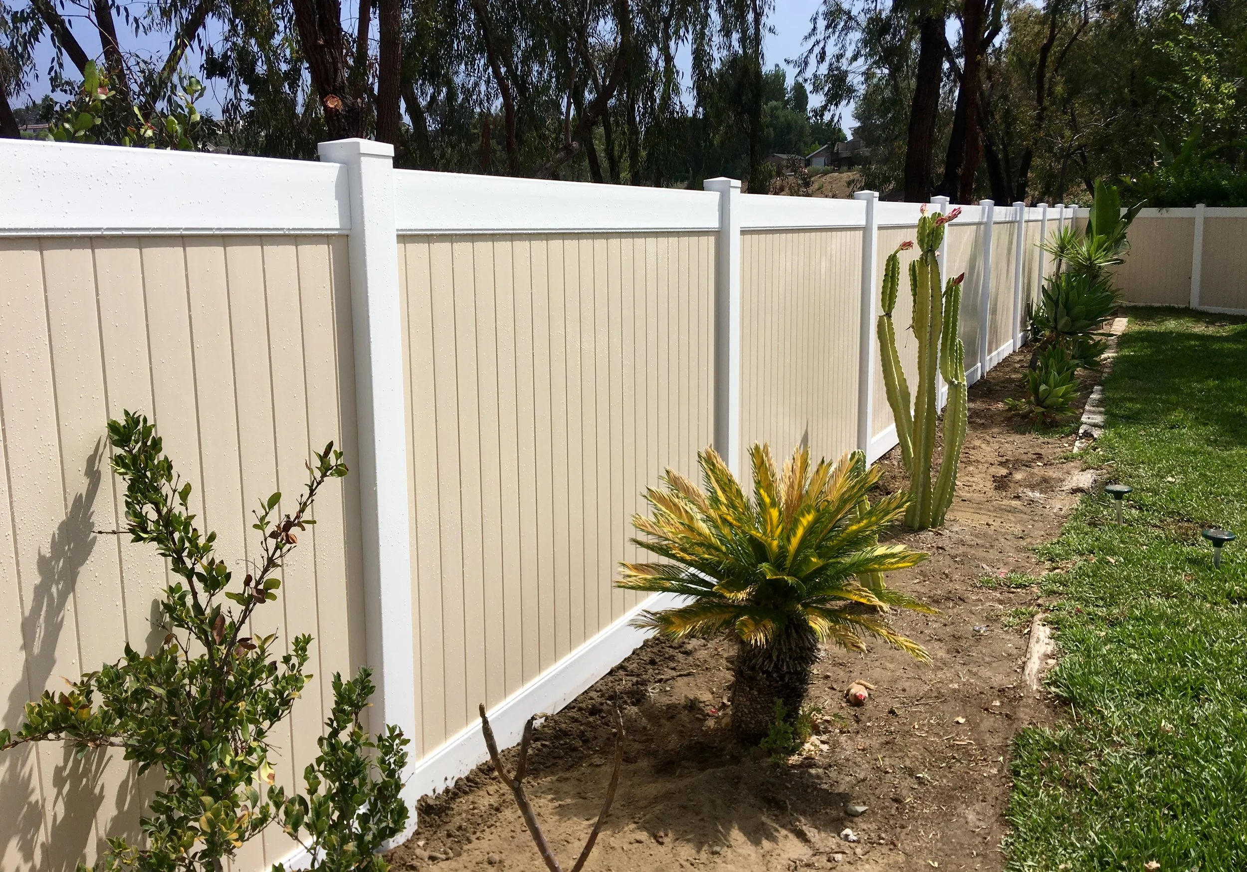 Laguna Hills beige vinyl privacy fence with white top trim running along a yard featuring desert plants like cactus, bush, and palm-like greenery, demonstrating durable and stylish fencing.
