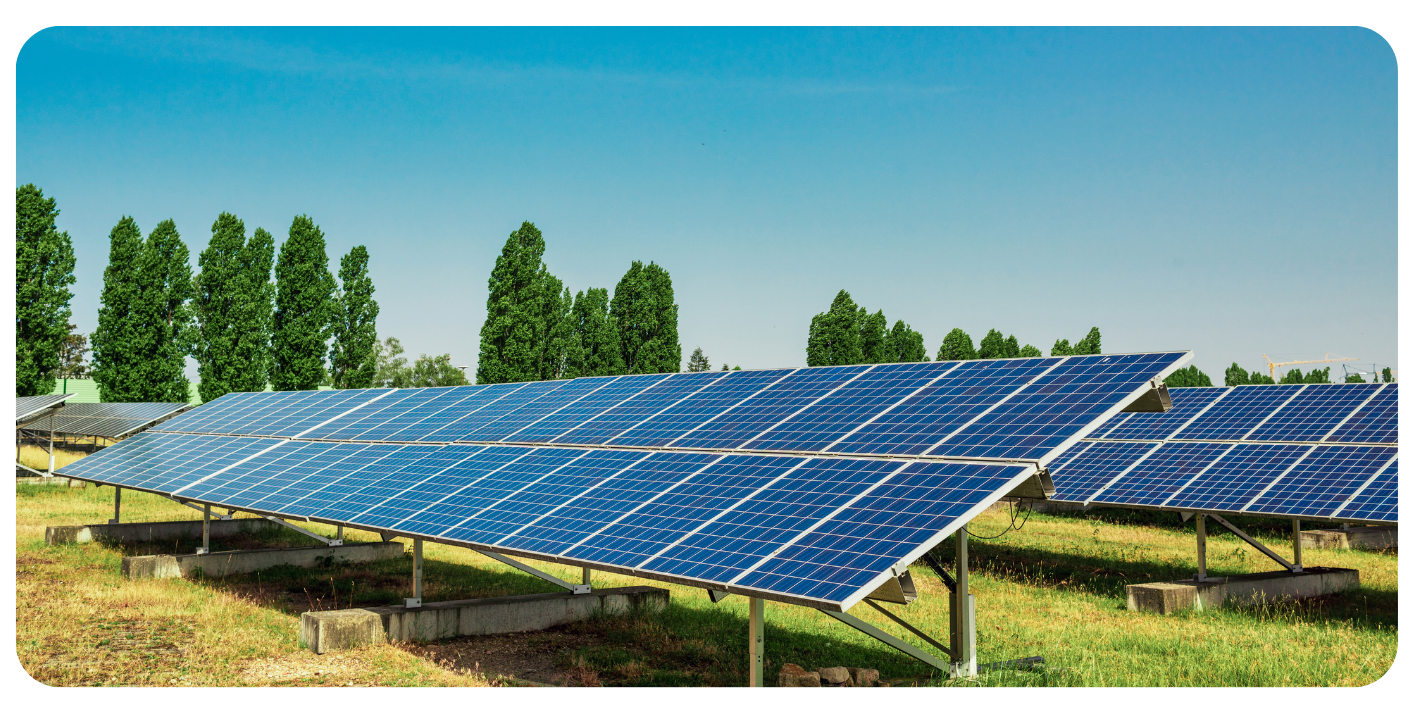 Solar panels on a grassy field with tall green trees in the background under a clear blue sky.