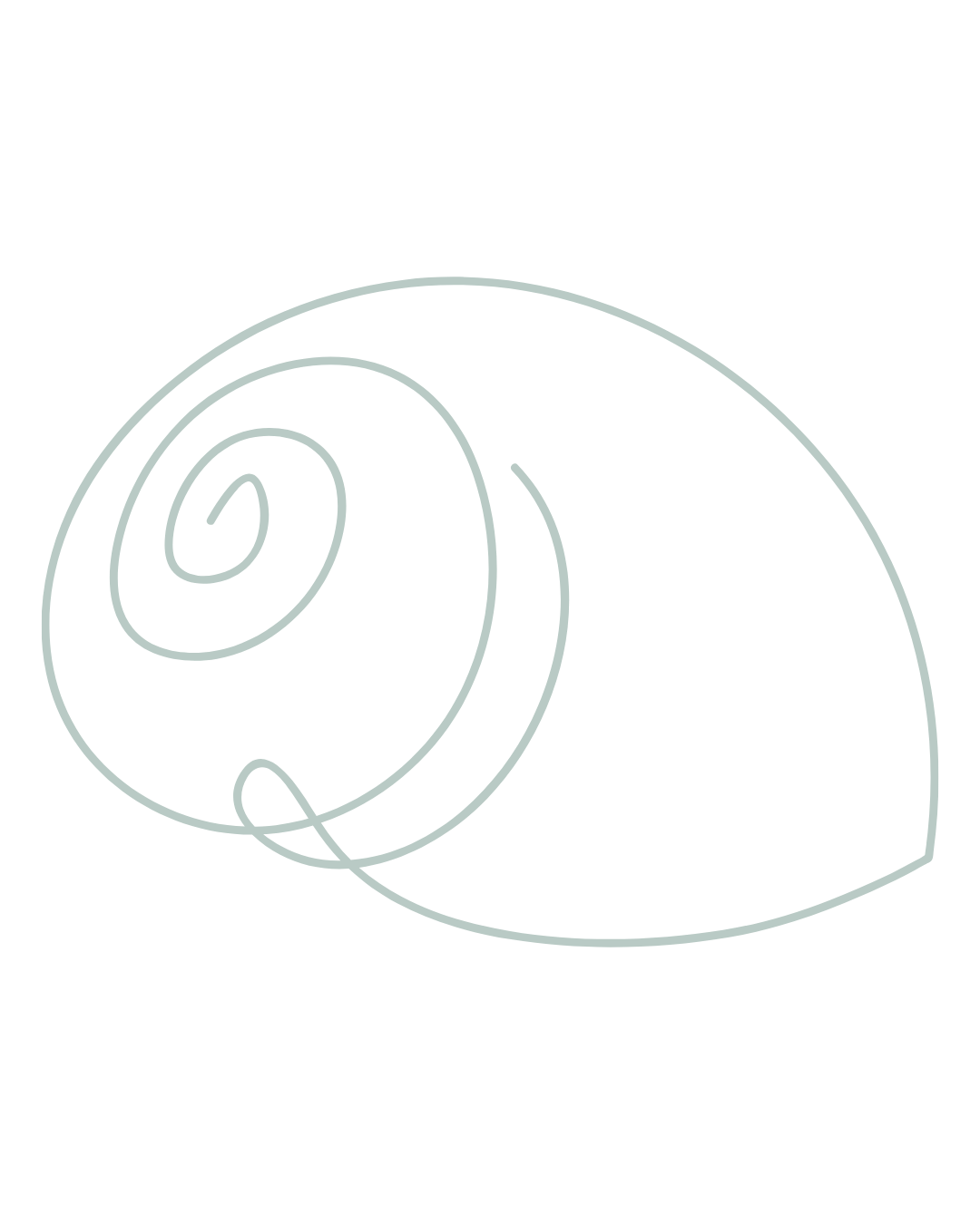 Line drawing of a snail shell with a spiral pattern on a black background.