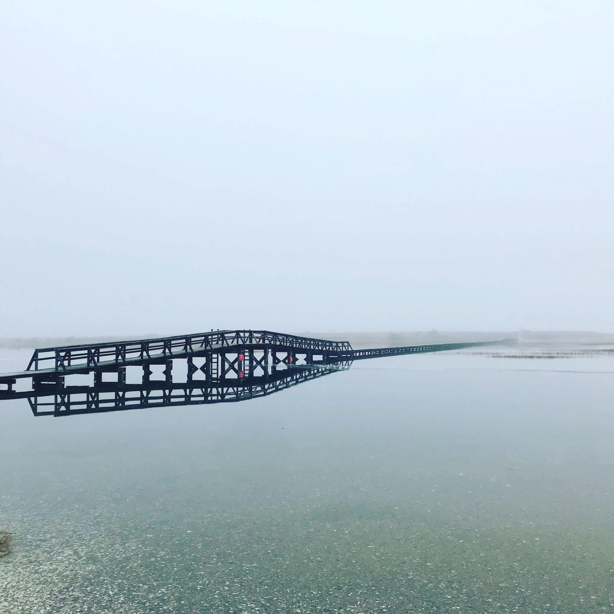 Long metal pier extending across calm water under a foggy, overcast sky