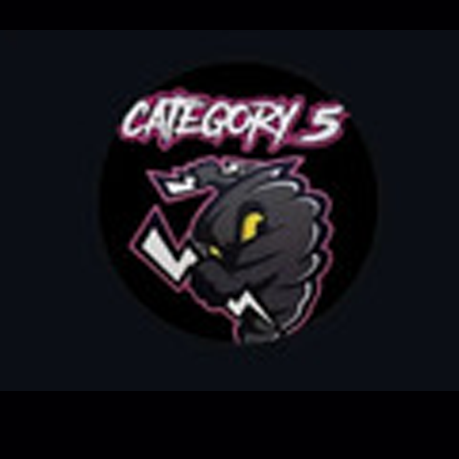 Category 5