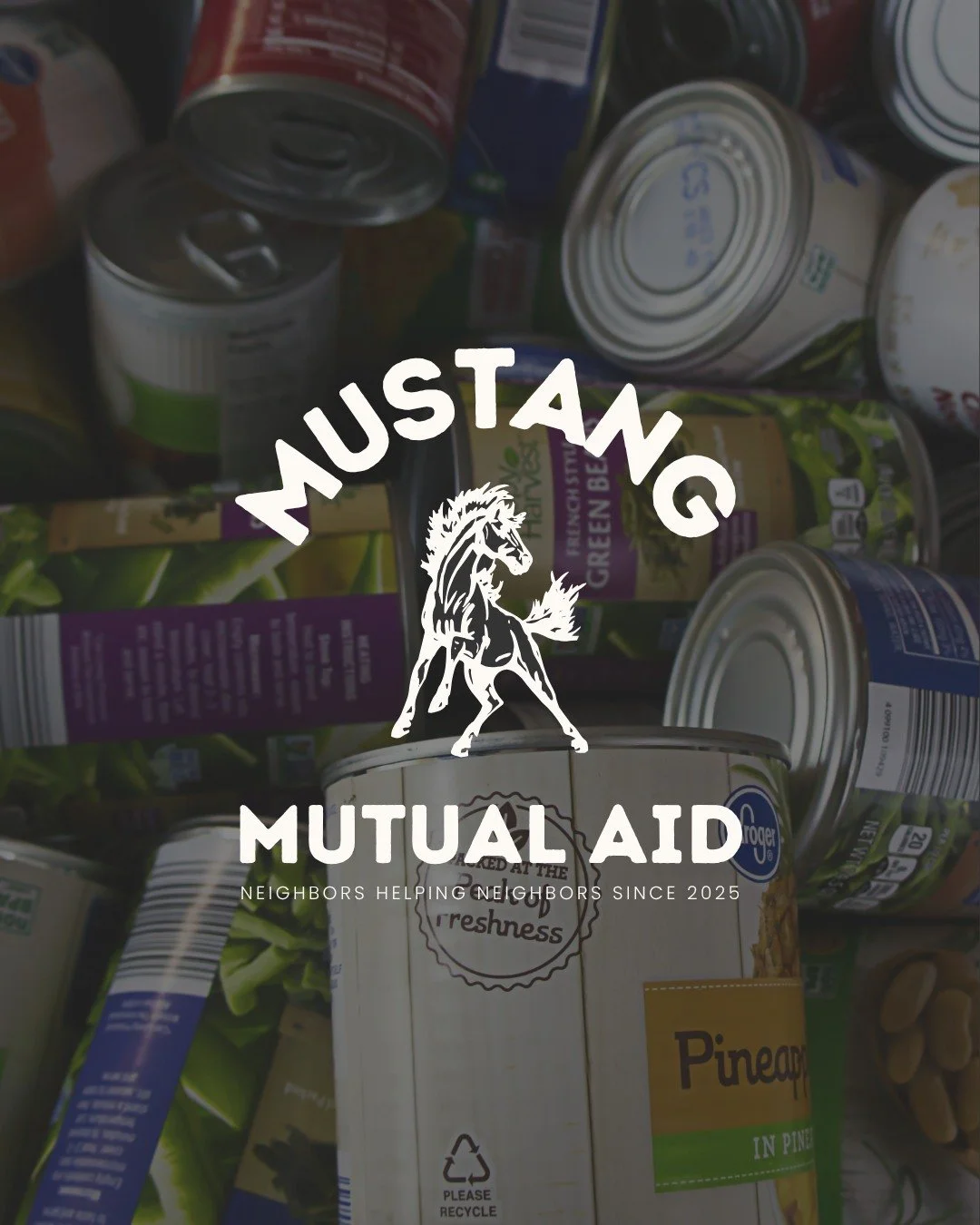 This project is near and dear to my heart...🧡 I&rsquo;m so proud to be volunteering as the social media manager for @mustangmutualaid. A local nonprofit built on the belief that neighbors can lift each other up through food and resource support. Des