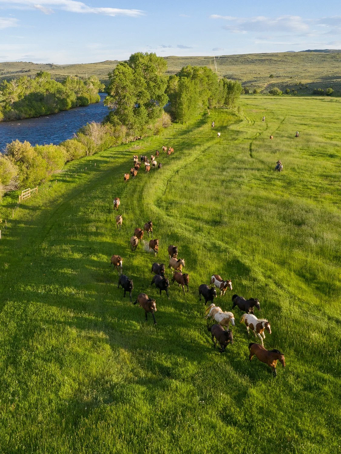 jackson-durham-events-wedding-inspiration-wyoming-brush-creek-ranch-floral-design-00005.jpg