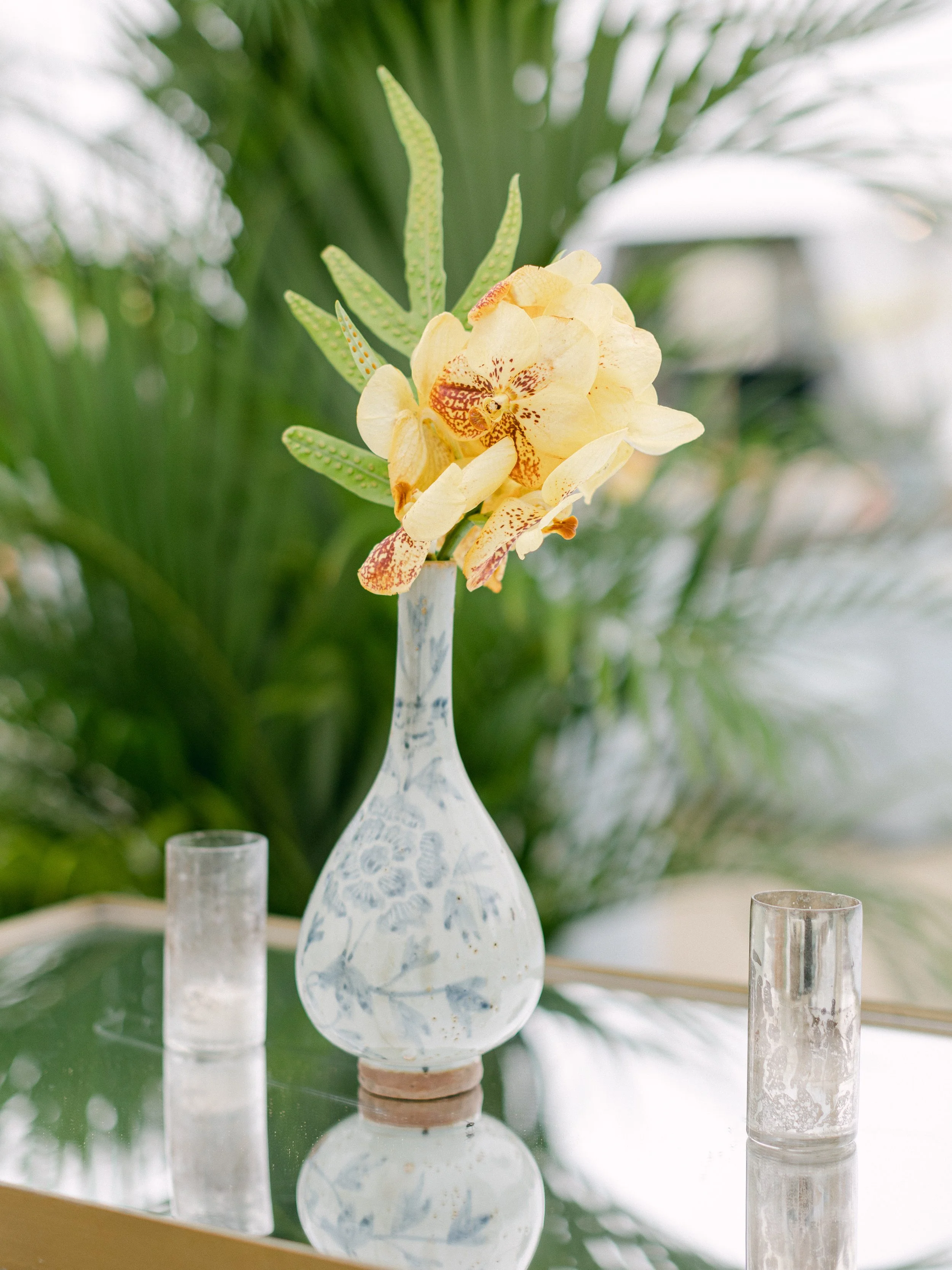 Low Country069.jpg