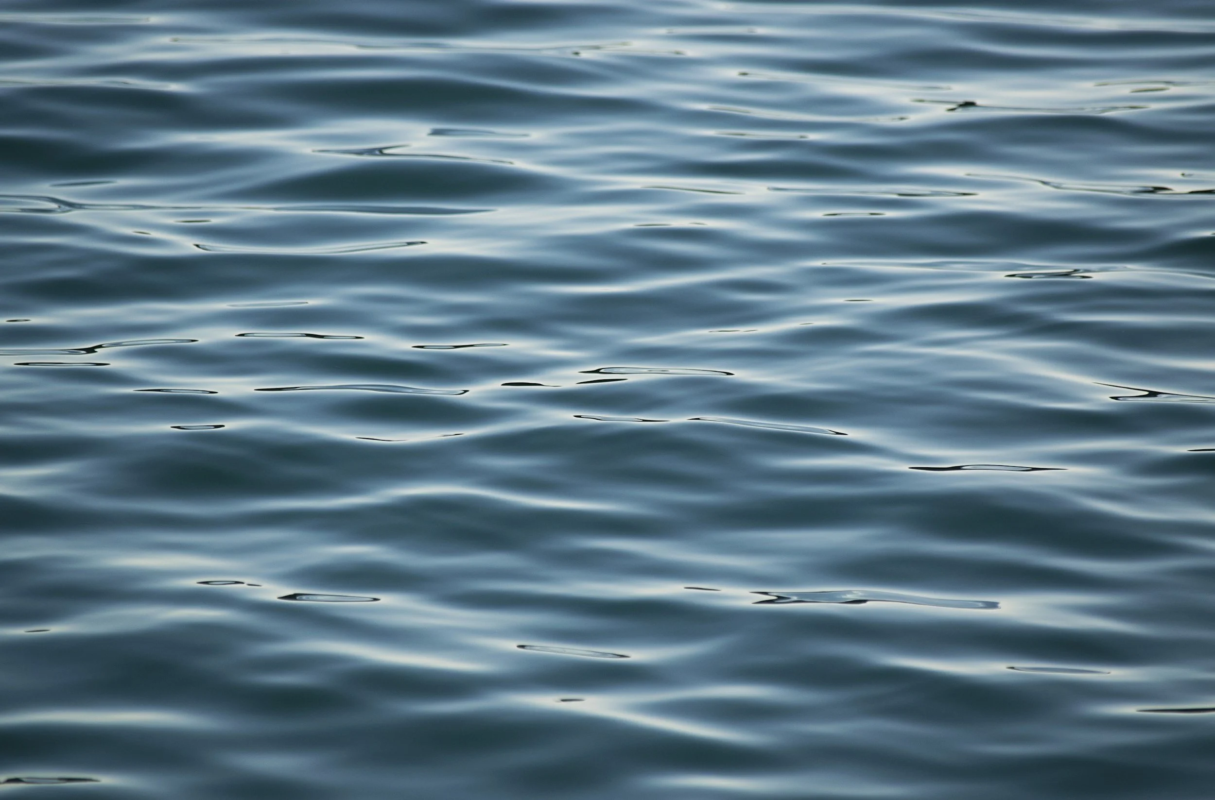 Understanding Your Window of Tolerance: Why Some Days Feel So Overwhelming