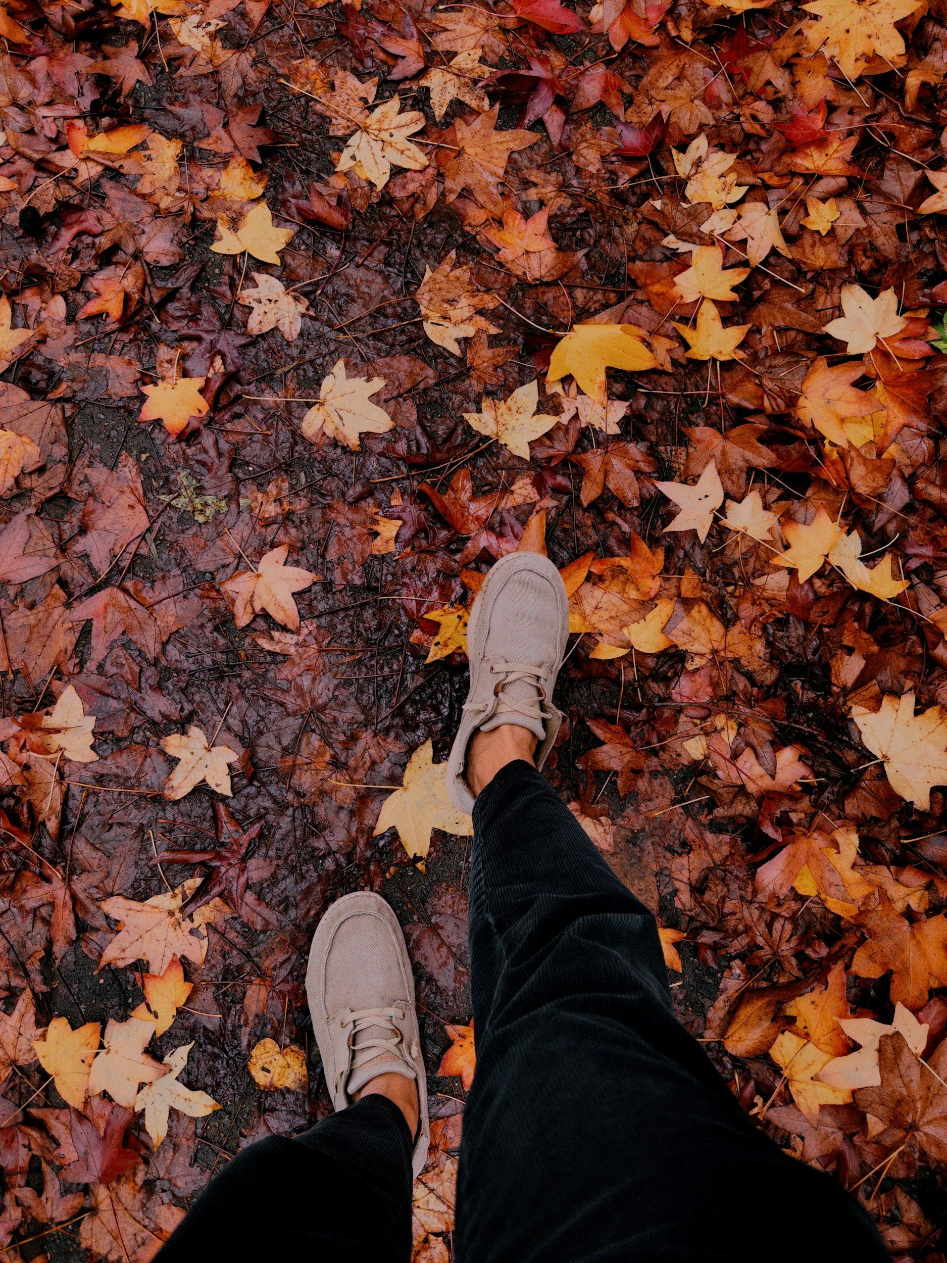 When the Seasons Change and Grief Comes With It